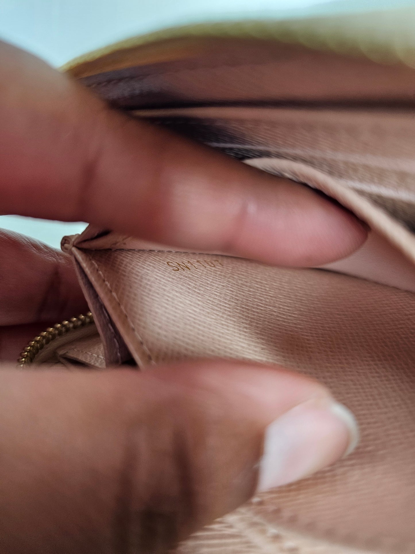 Louis Vuitton Tahitienne Zippy Coin Purse SN1107