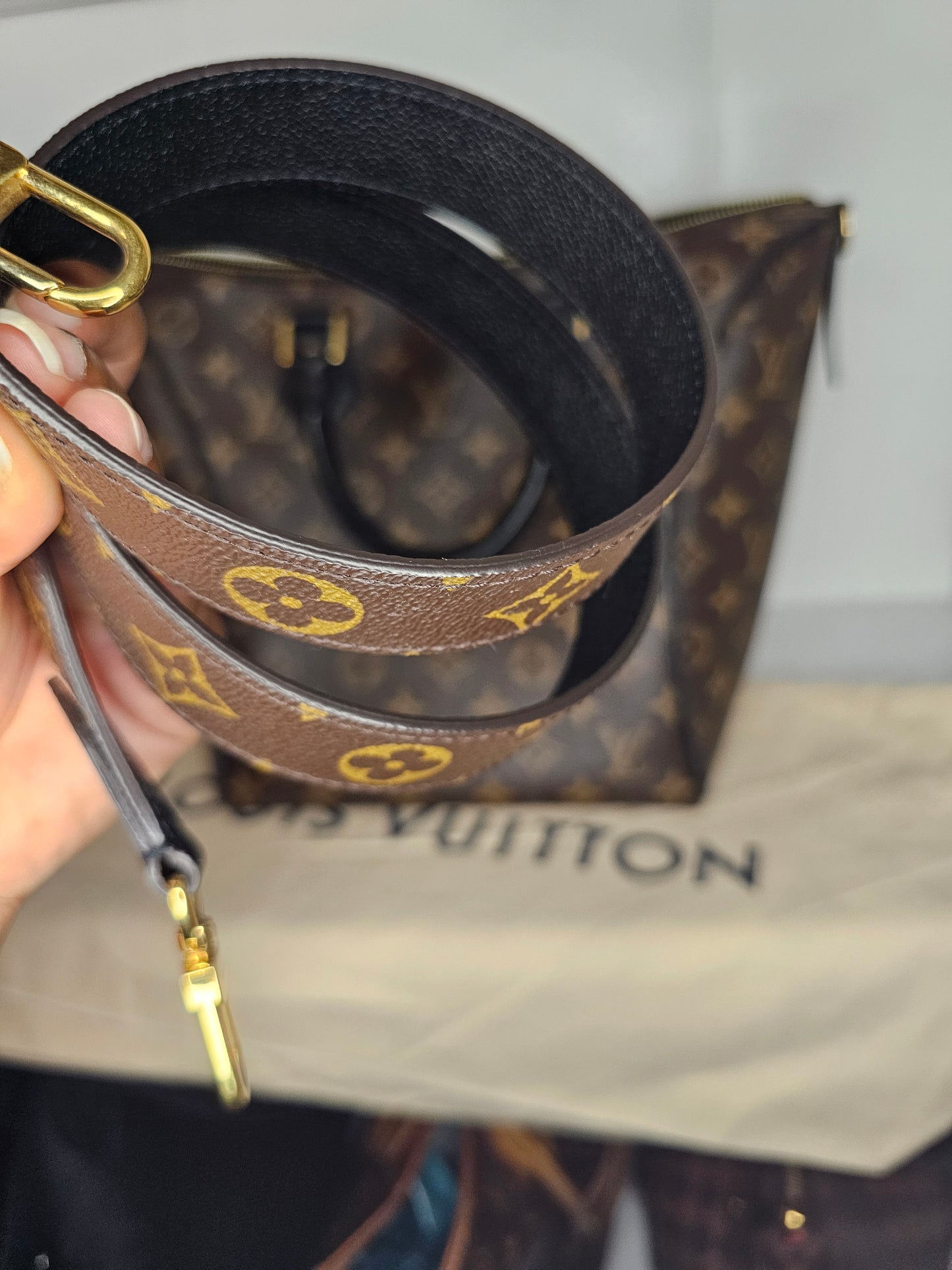 Louis Vuitton Monogram Black Tournelle PM AH4167