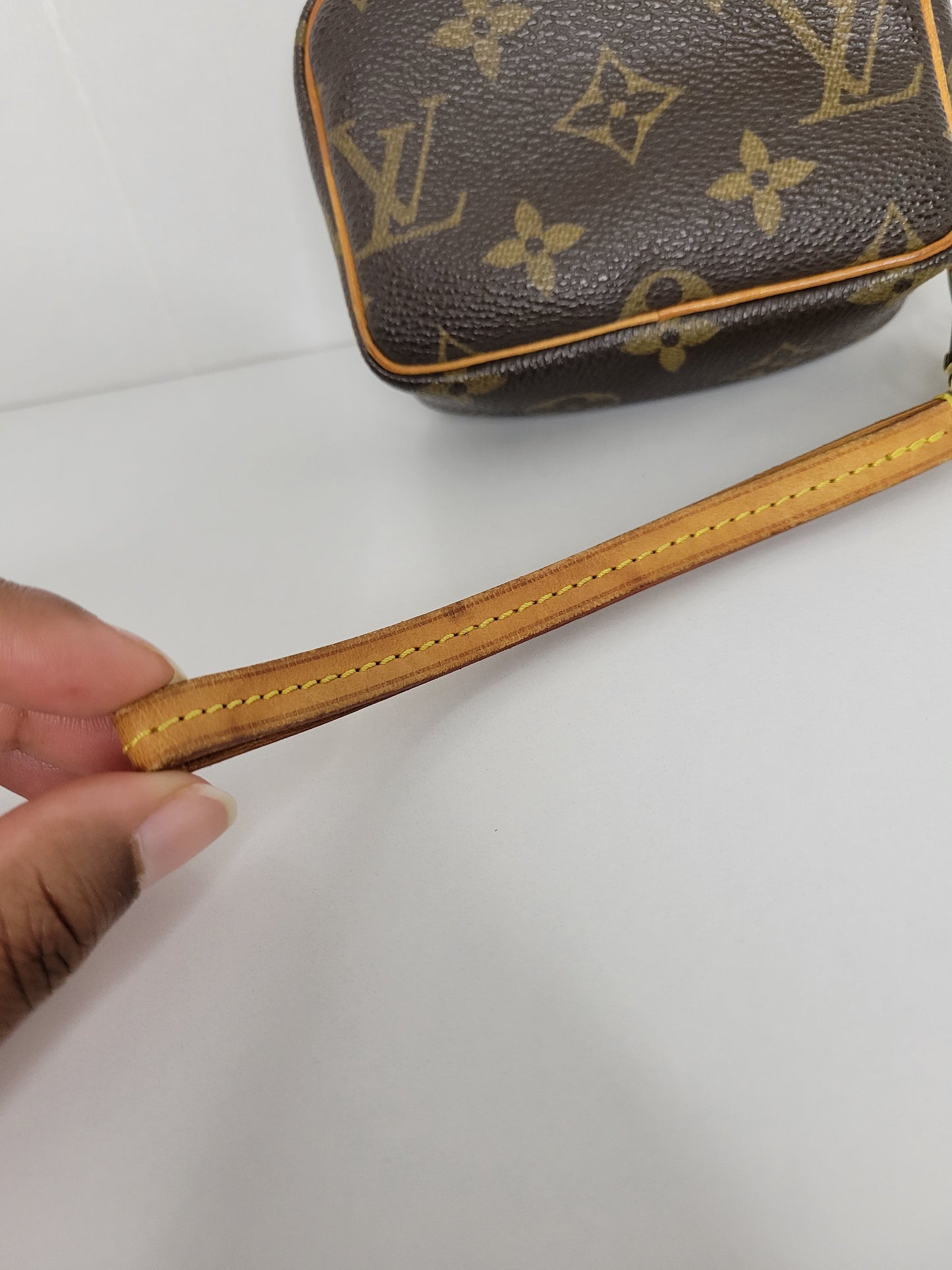 Louis Vuitton Monogram Wapity Clutch