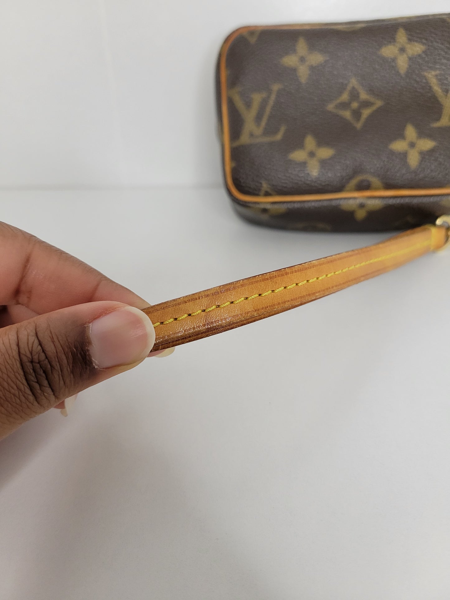 Louis Vuitton Monogram Wapity Clutch