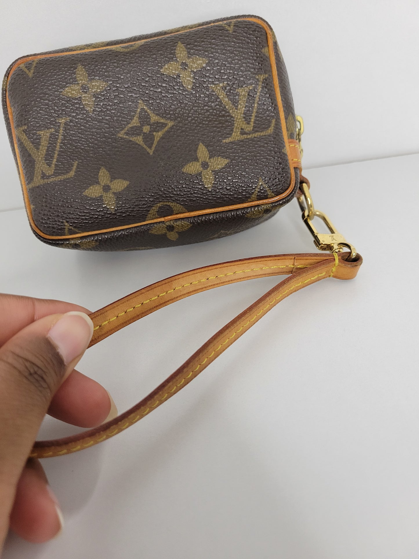 Louis Vuitton Monogram Wapity Clutch