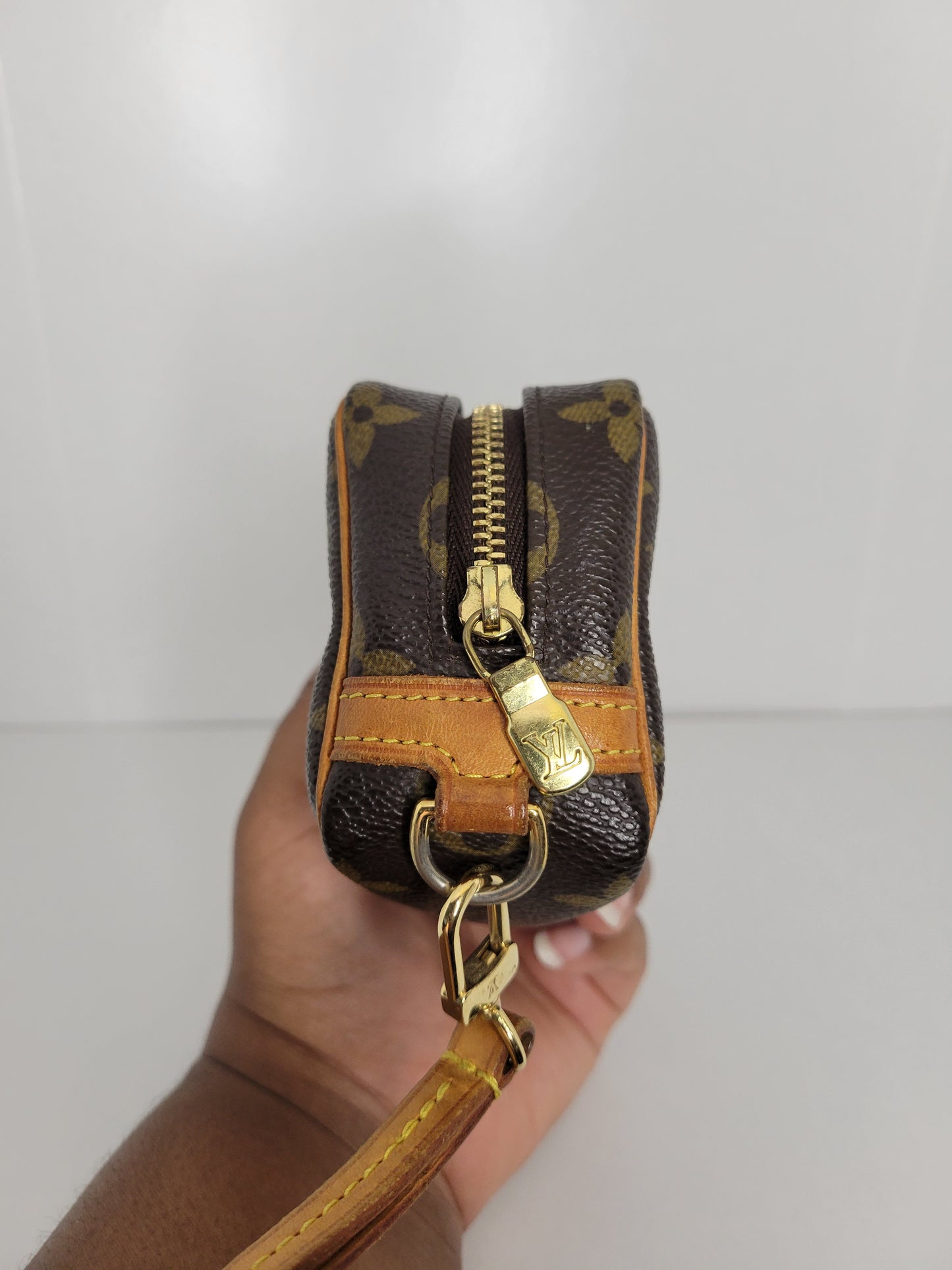 Louis Vuitton Monogram Wapity Clutch