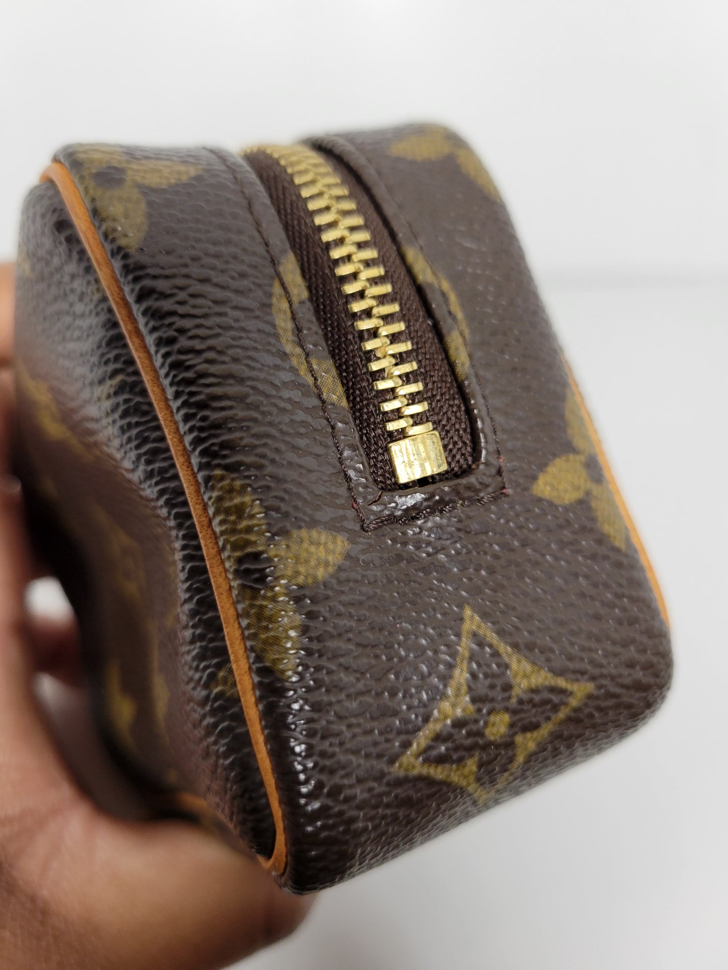 Louis Vuitton Monogram Wapity Clutch