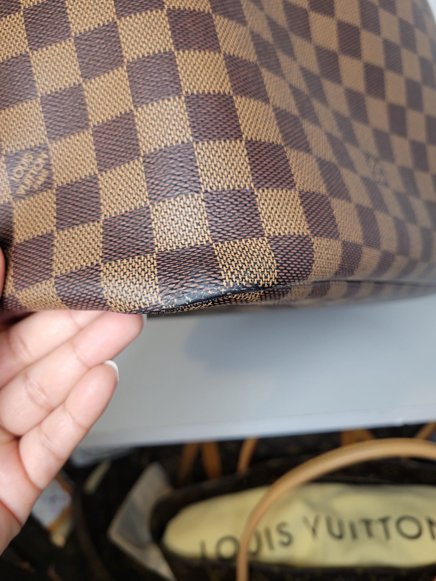 Louis Vuitton Damier Ebene Neverfull GM & Pochette (Microchip)