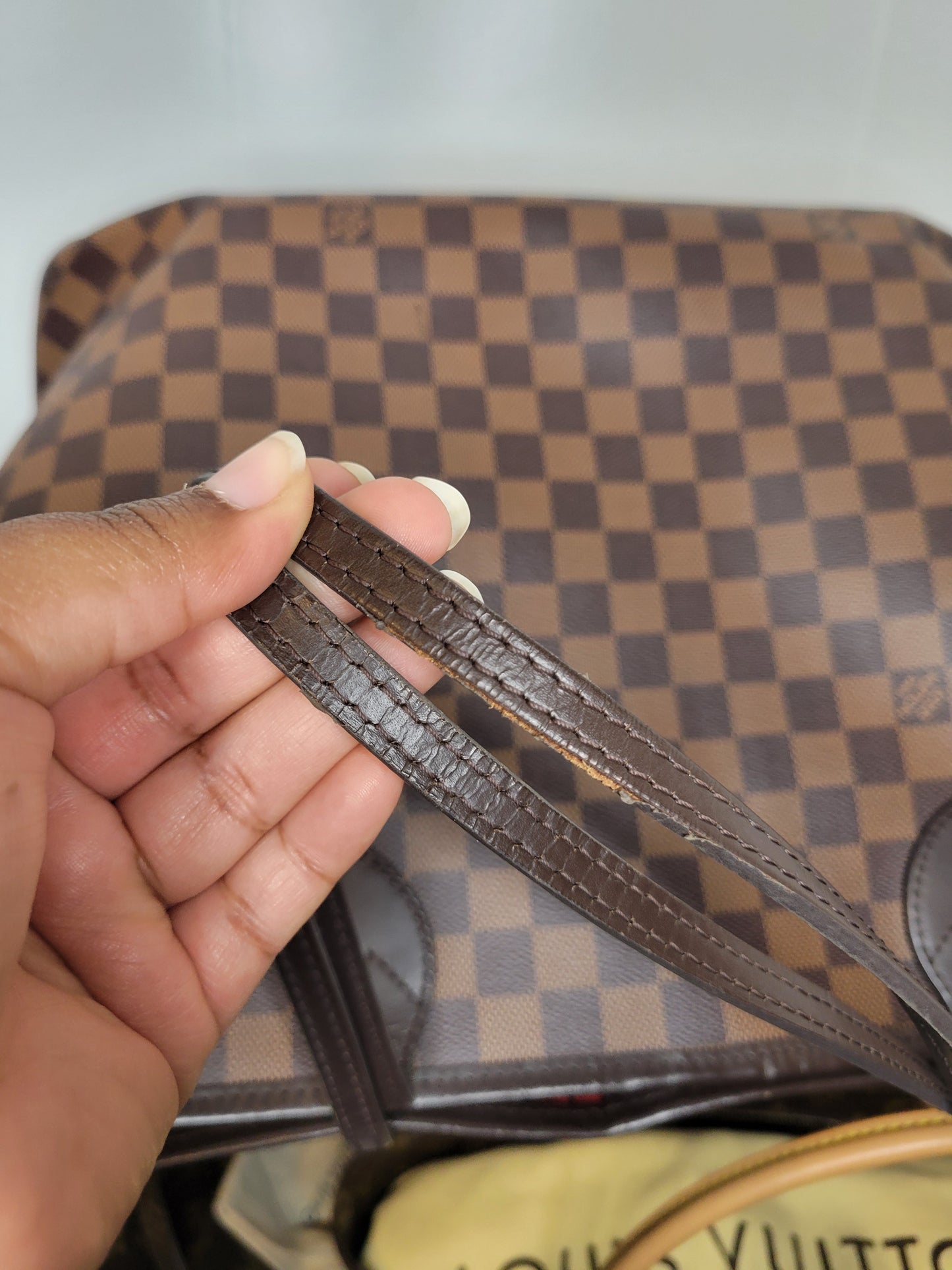 Louis Vuitton Damier Ebene Neverfull GM & Pochette (Microchip)