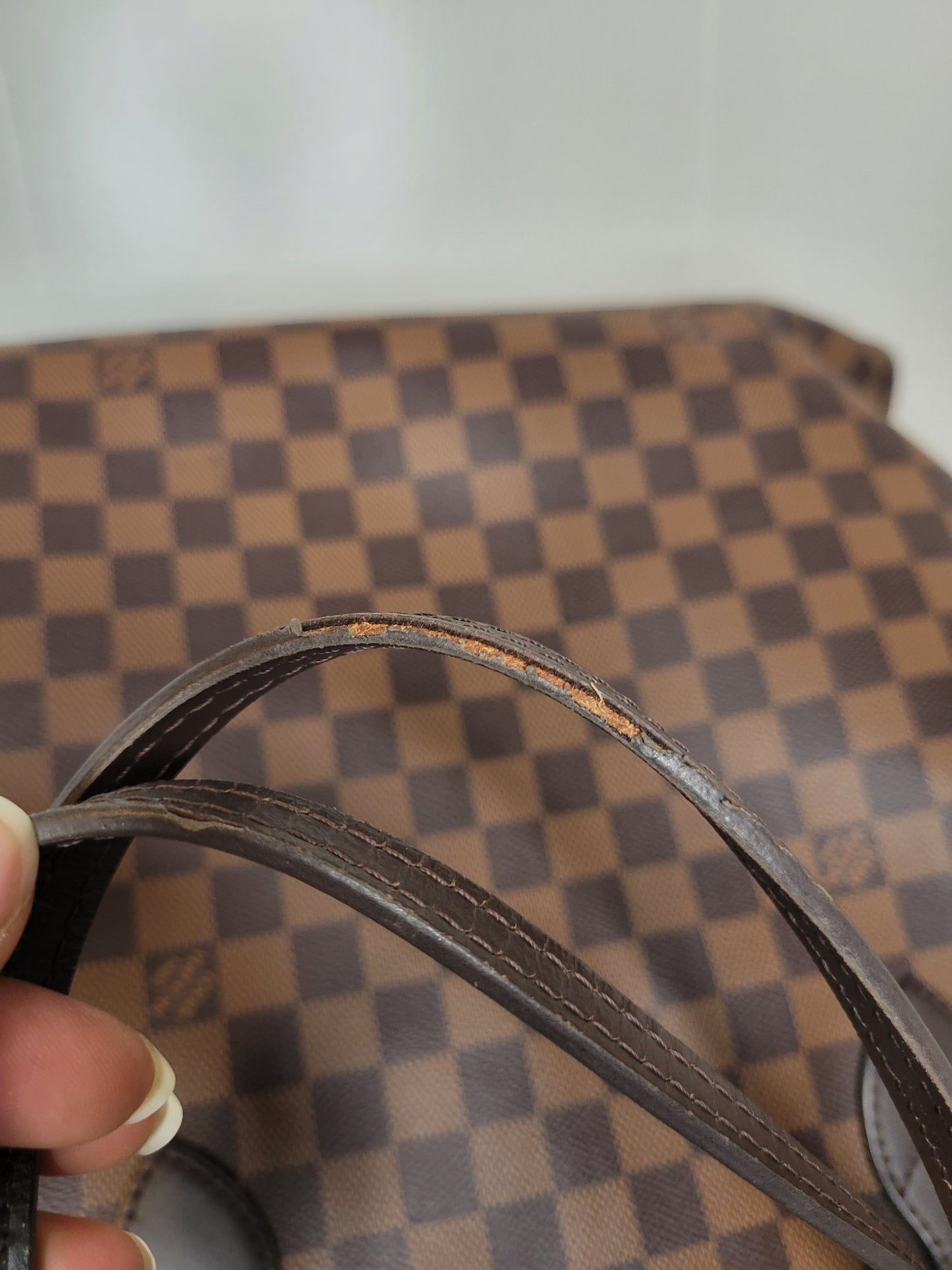 Louis Vuitton Damier Ebene Neverfull GM & Pochette (Microchip)