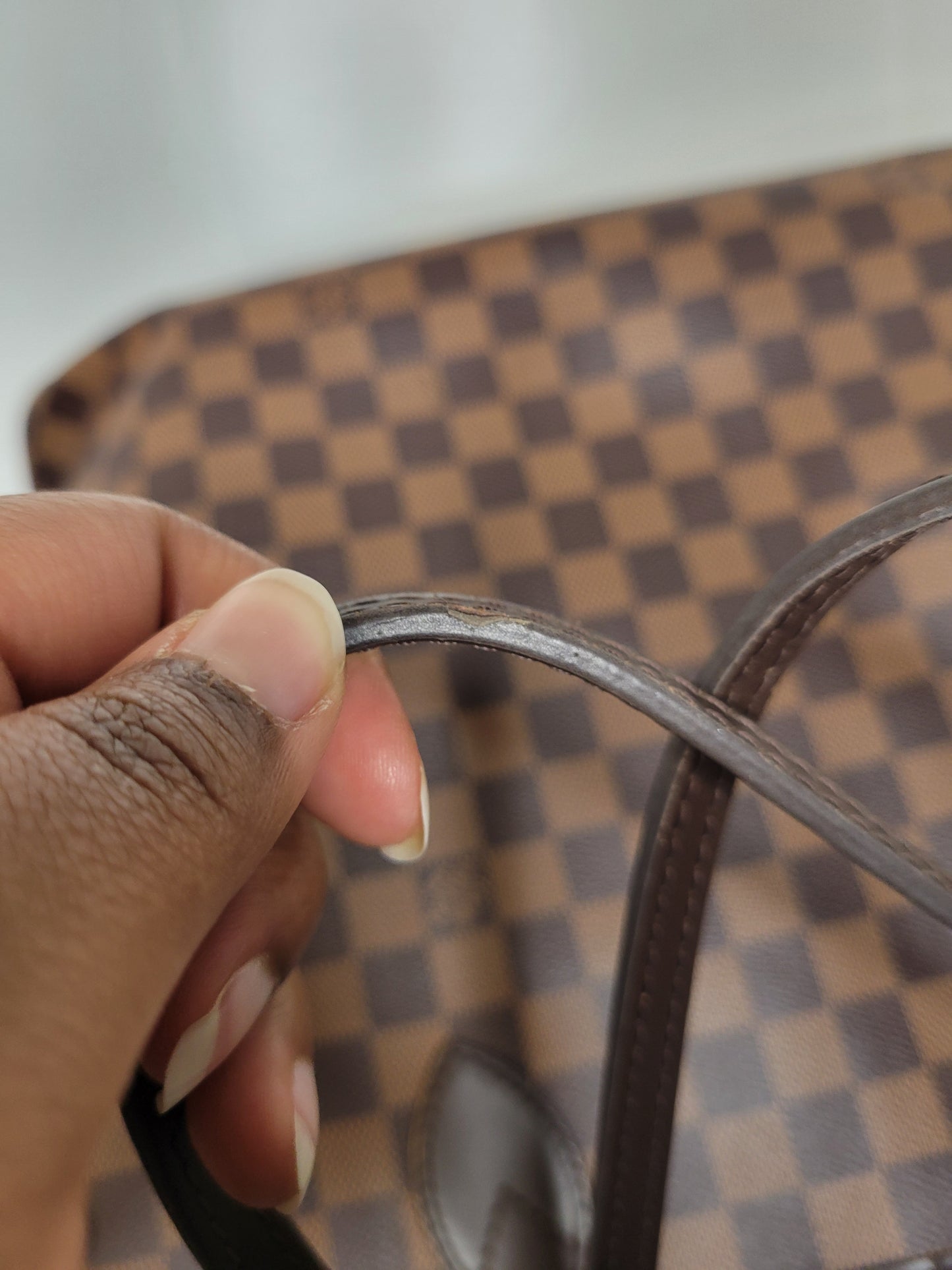 Louis Vuitton Damier Ebene Neverfull GM & Pochette (Microchip)