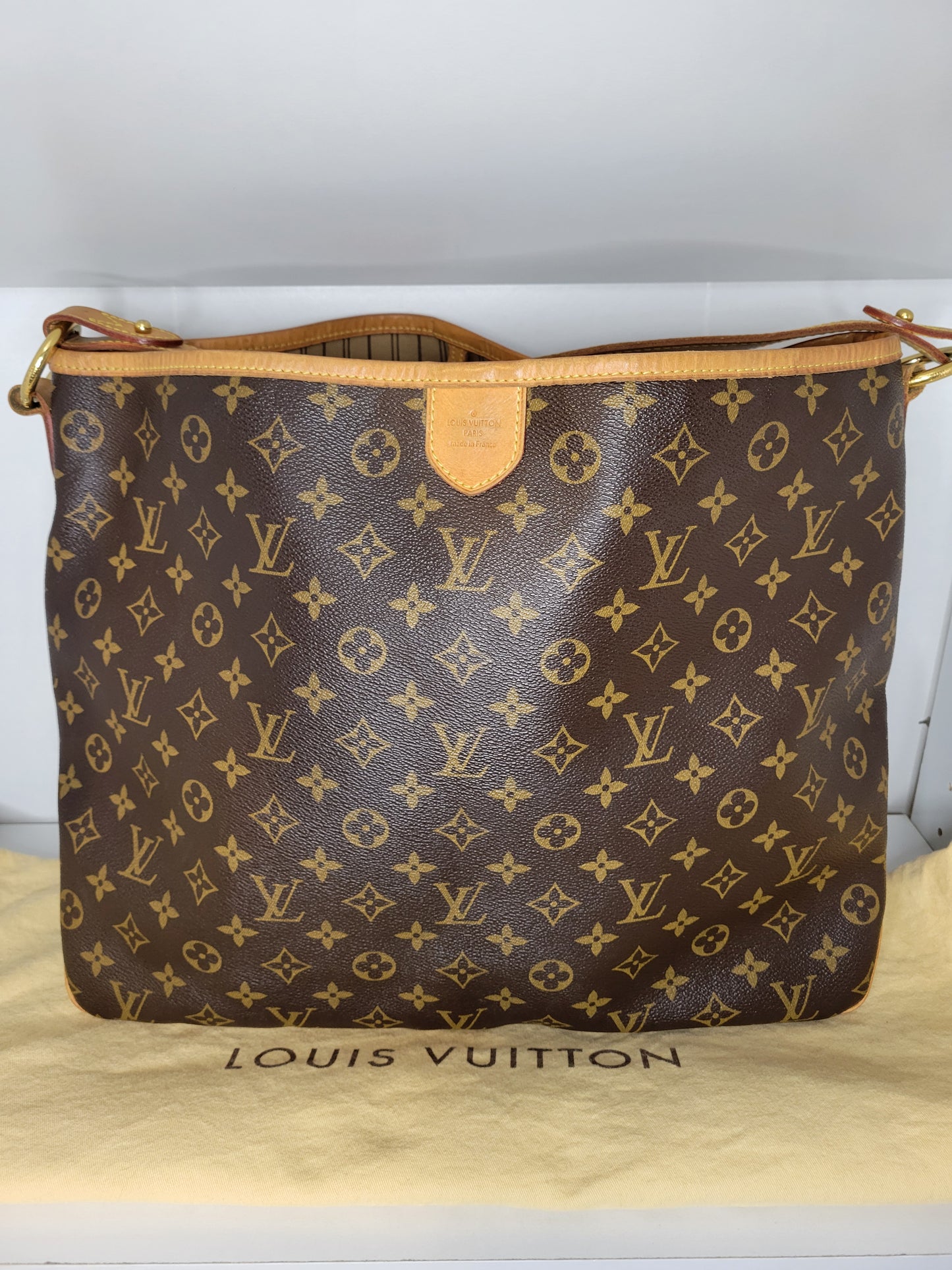 Louis Vuitton Monogram Delightful MM MI4160