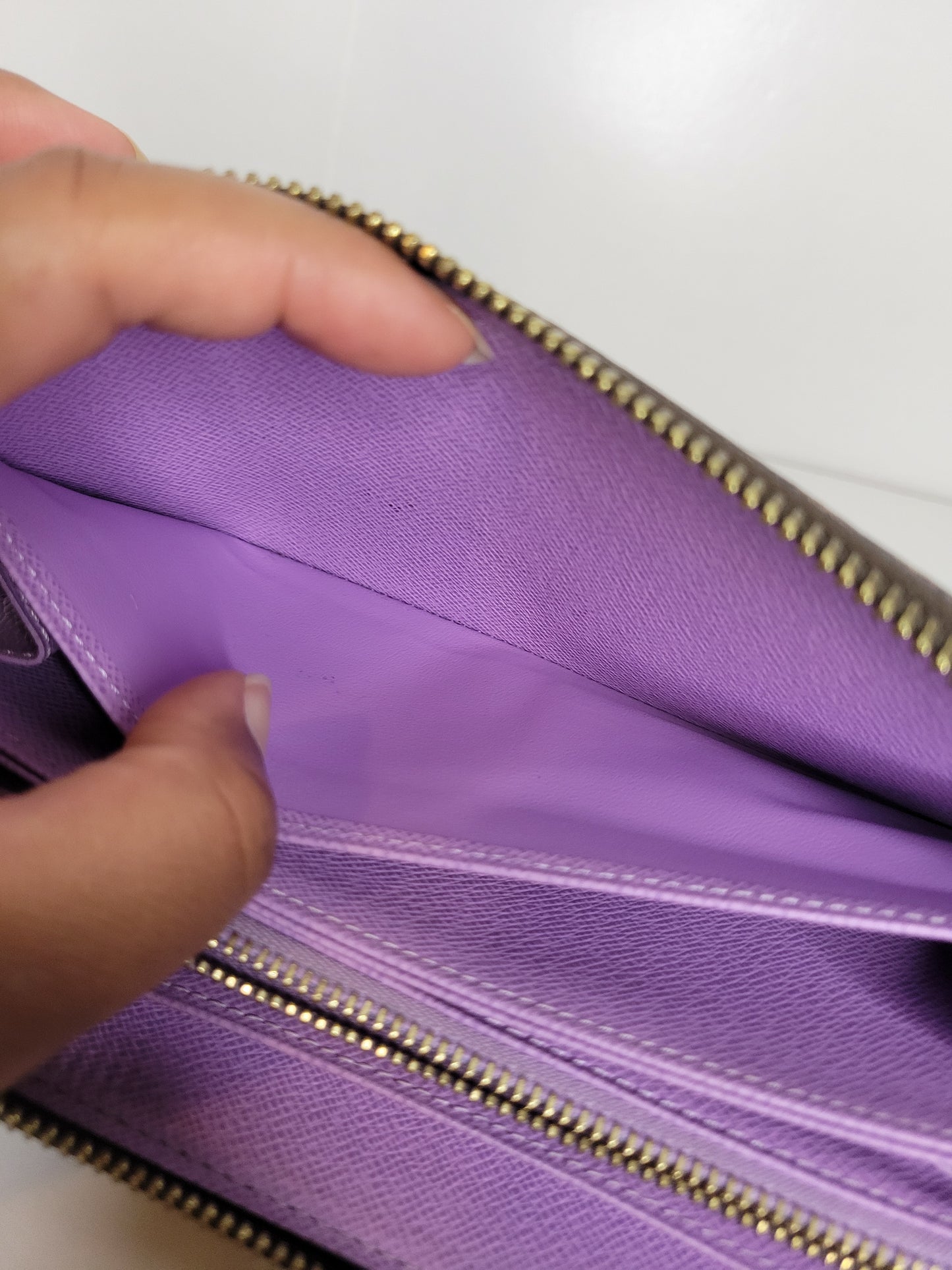 Louis Vuitton Damier Ebene Illustre Zippy Wallet CA3161