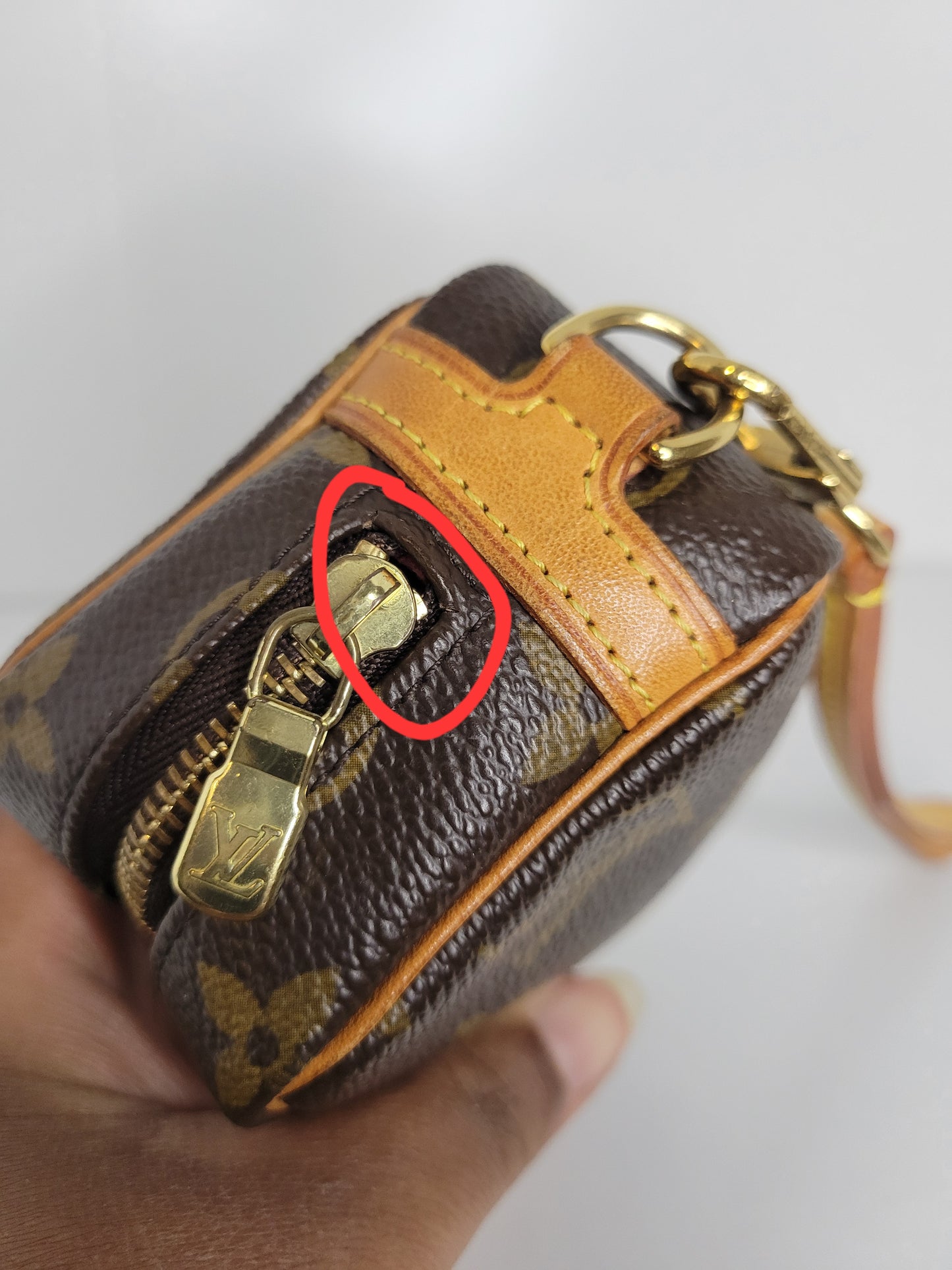 Louis Vuitton Monogram Wapity Clutch FL0095