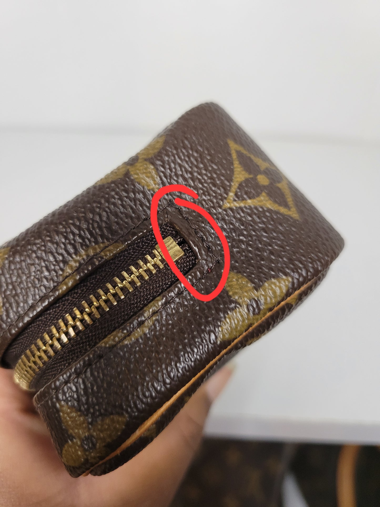 Louis Vuitton Monogram Wapity Clutch FL0095