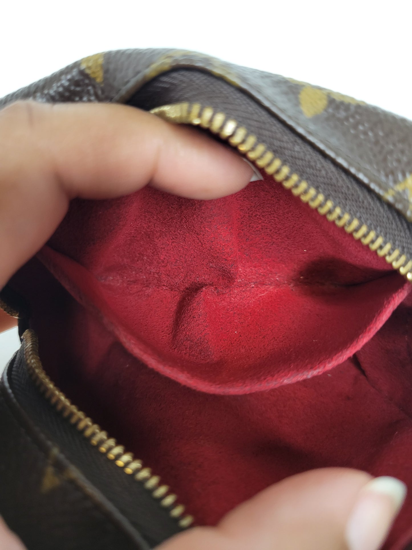 Louis Vuitton Monogram Wapity Clutch FL0095