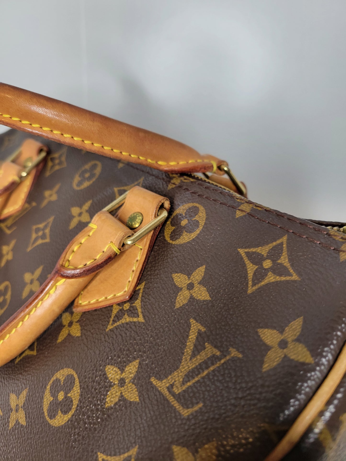 Louis Vuitton Monogram Speedy 30 TH0020