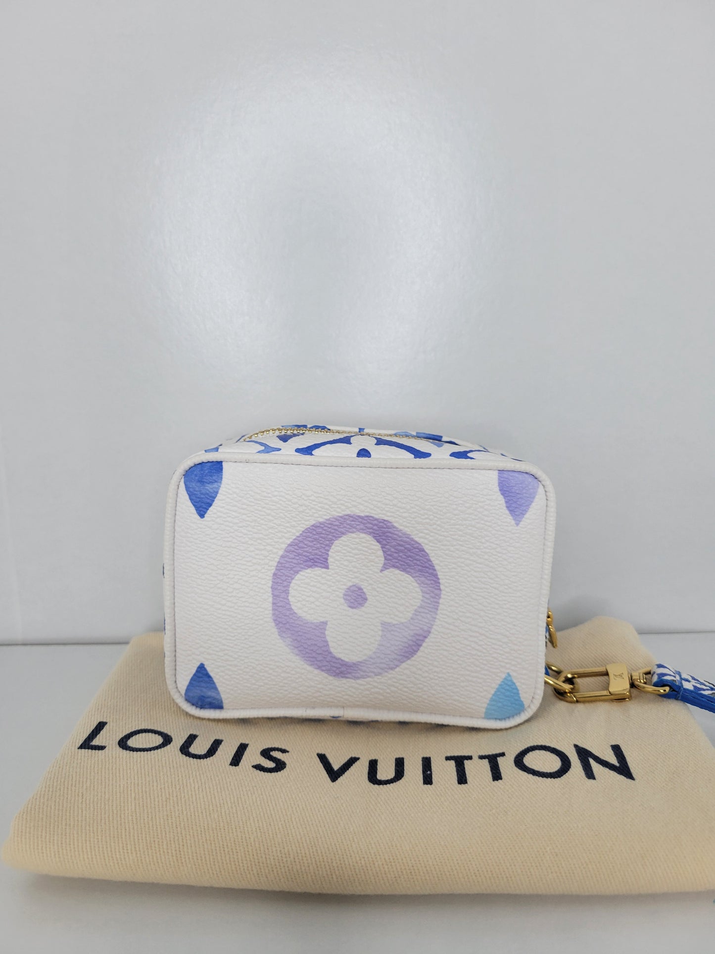 Louis Vuitton By The Pool Wapity Clutch 💾