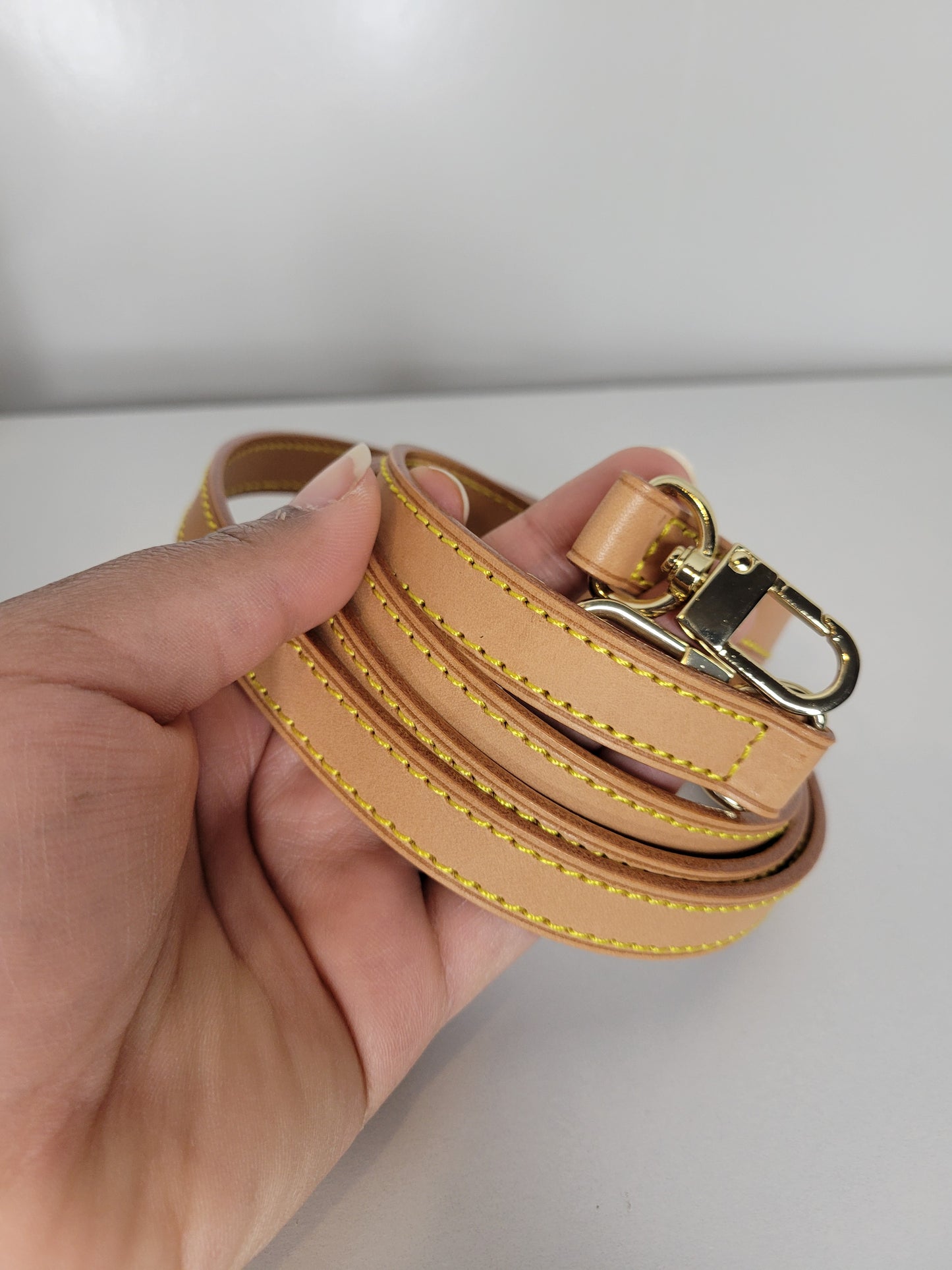 Louis Vuitton Monogram Mini Speedy w / Strap