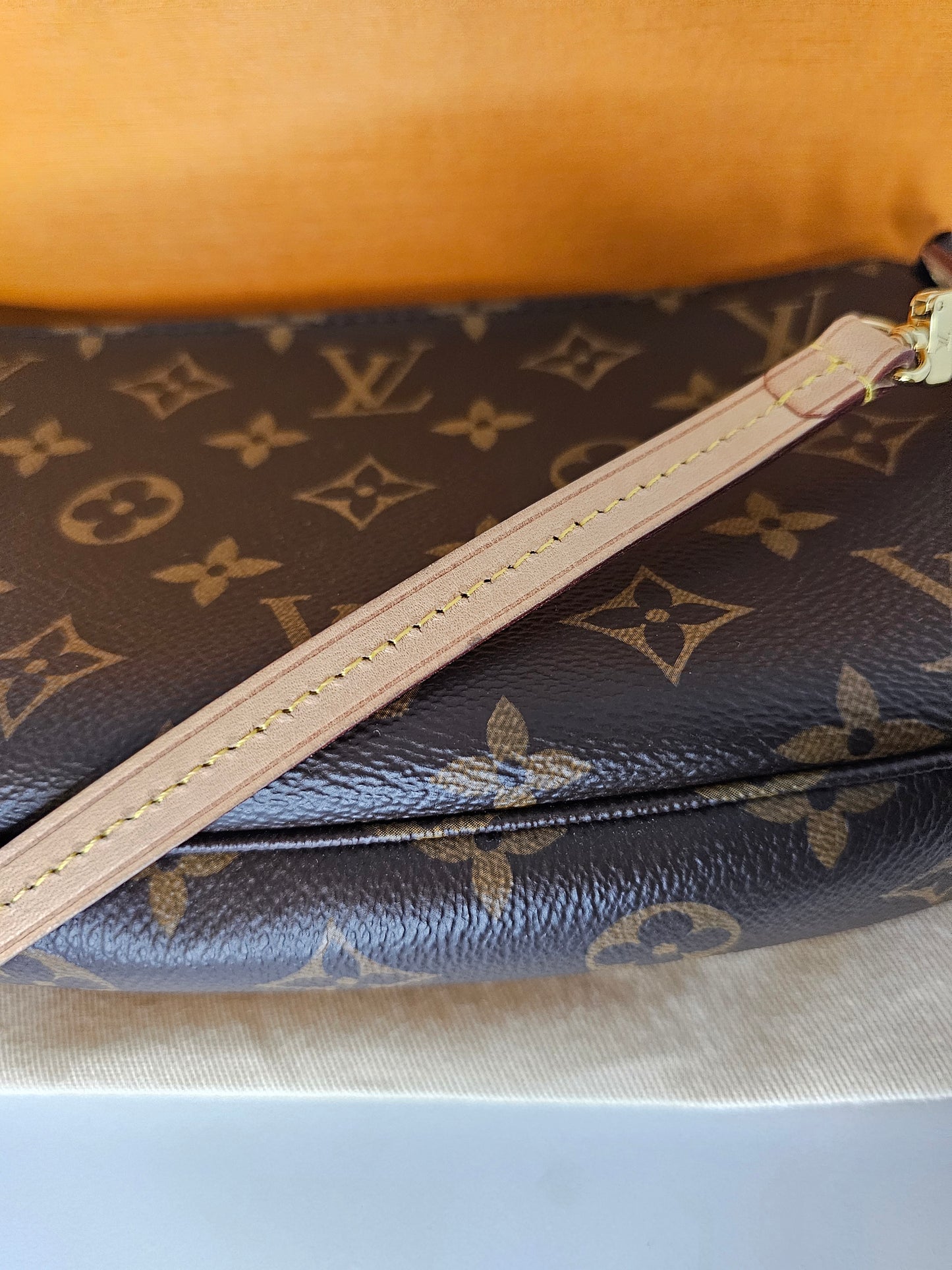 Louis Vuitton Monogram Pochette Accessories NM MB4230