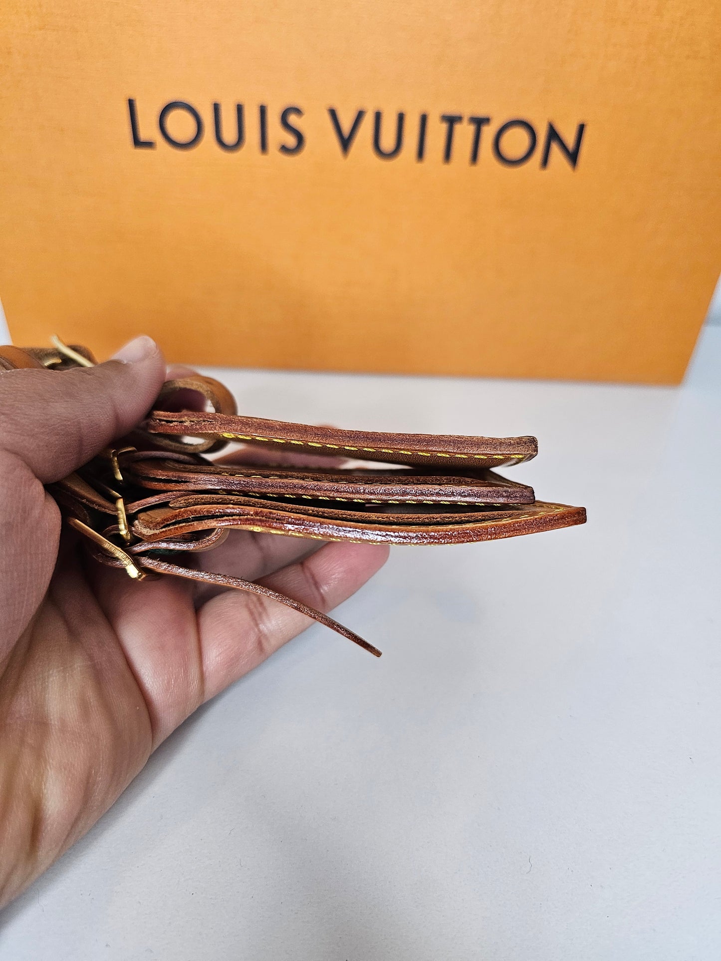 Louis Vuitton Large Luggage Tag (3) Bundle B1