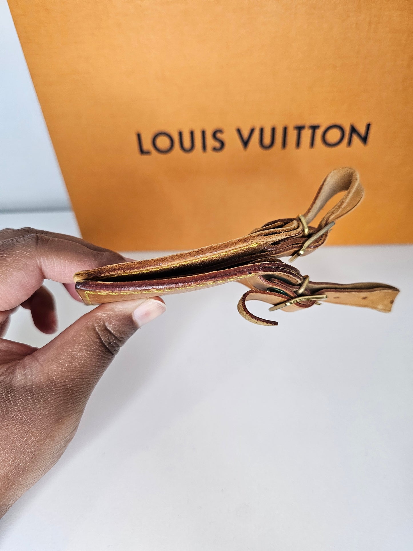 Louis Vuitton Large Luggage Tag (2) Bundle