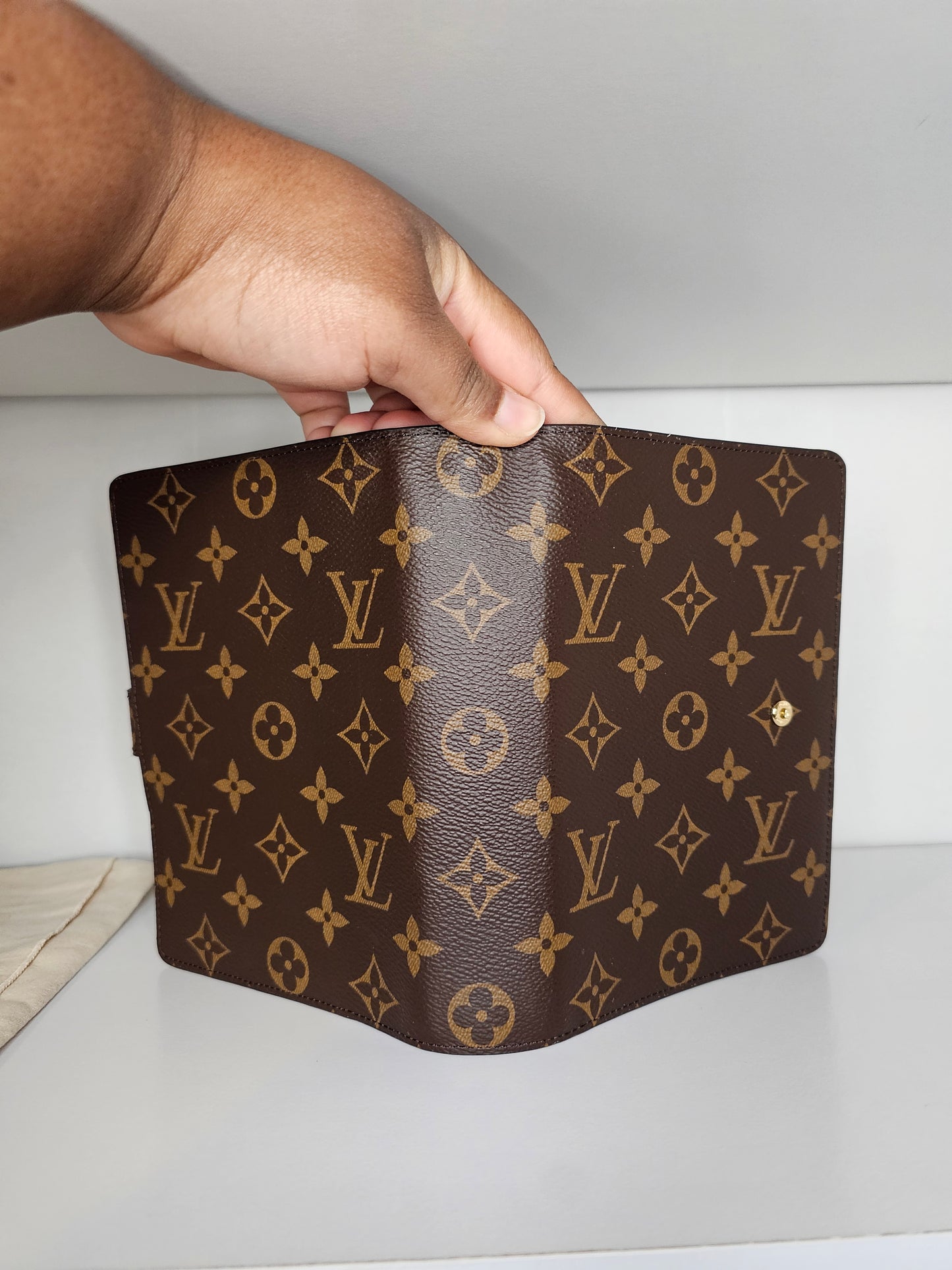Louis Vuitton Monogram Agenda MM with Inserts 💾