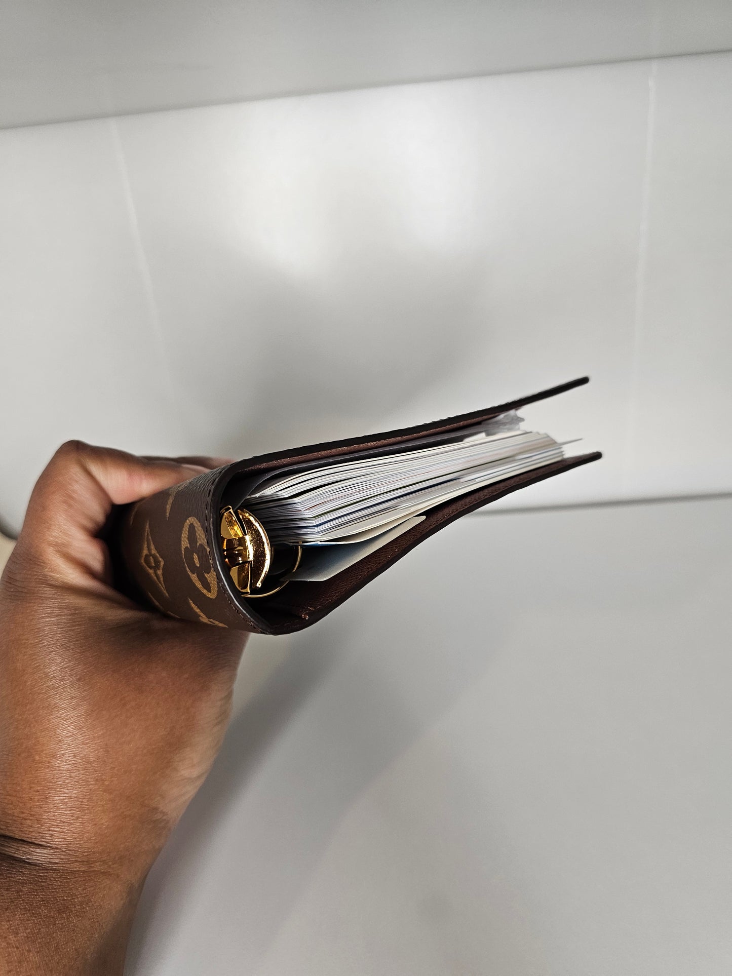 Louis Vuitton Monogram Agenda MM with Inserts 💾