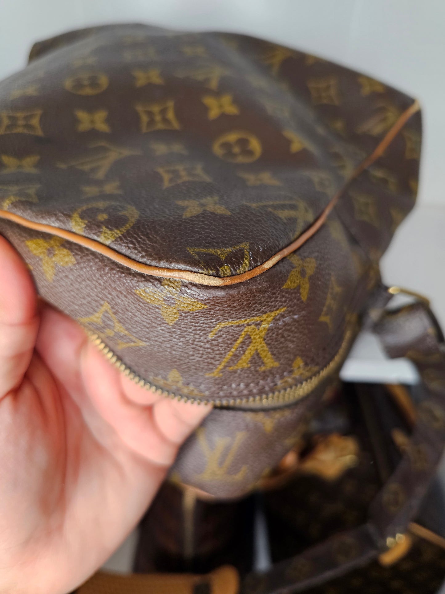 Louis Vuitton Monogram Nile Shoulder Bag
