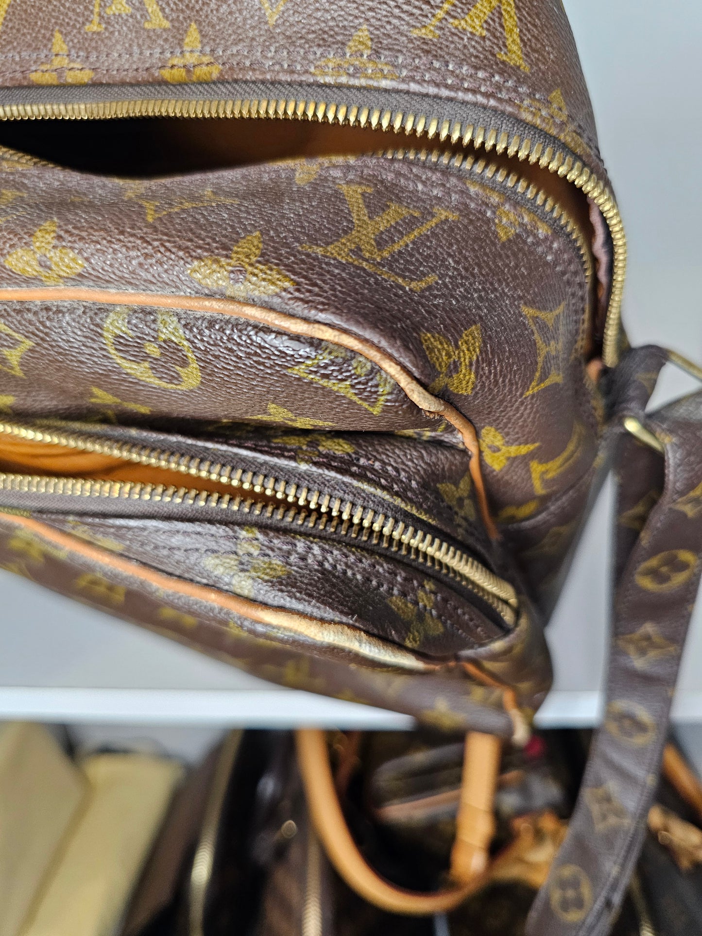 Louis Vuitton Monogram Nile Shoulder Bag