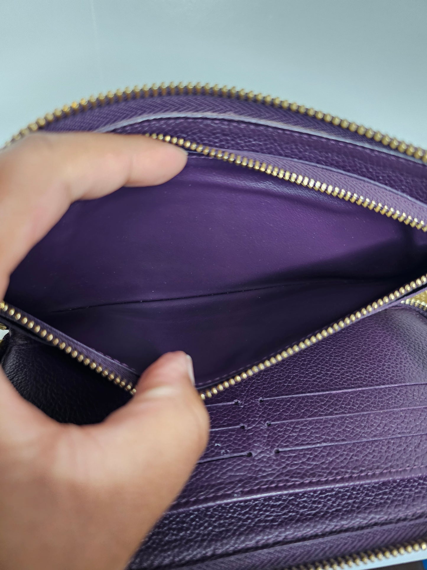 Louis Vuitton Purple Secret Empreinte Zippy Wallet SP5101