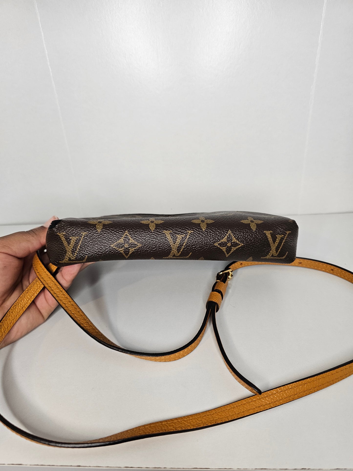 Louis Vuitton Monogram Pallas Crossbody Employee Bag AR2187
