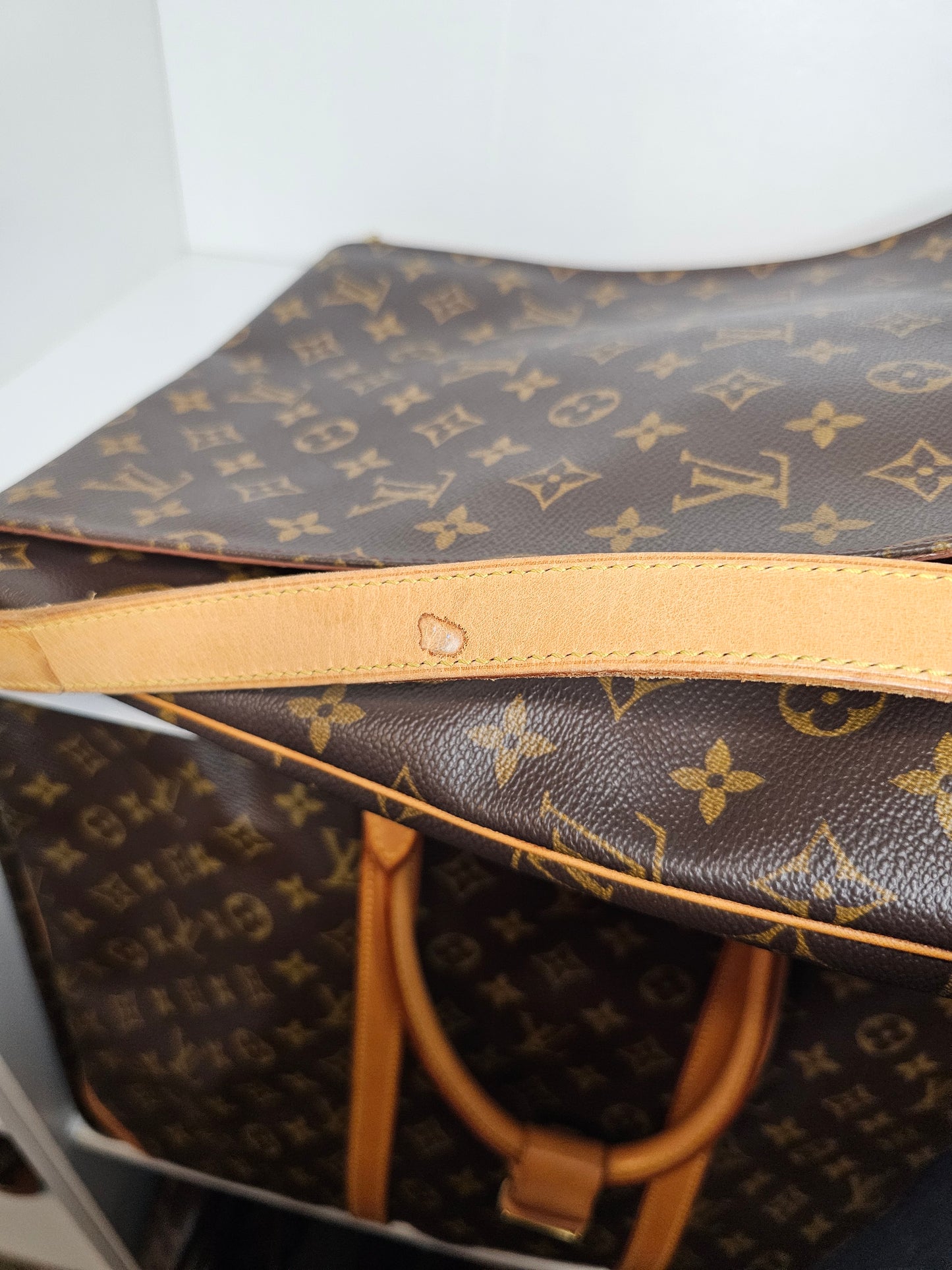 Louis Vuitton Musette Salsa GM Crossbody AS0949
