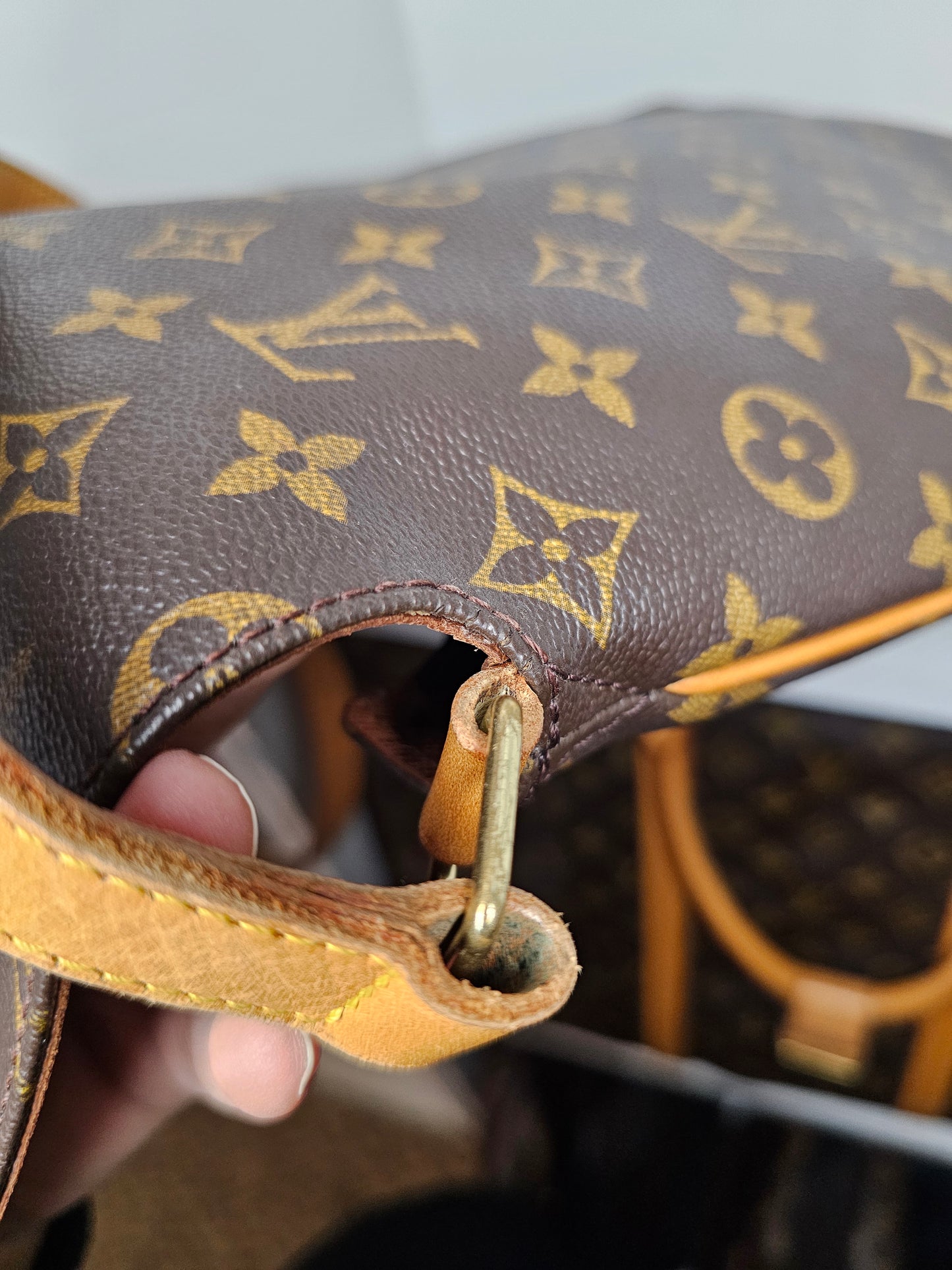 Louis Vuitton Musette Salsa GM Crossbody AS0949