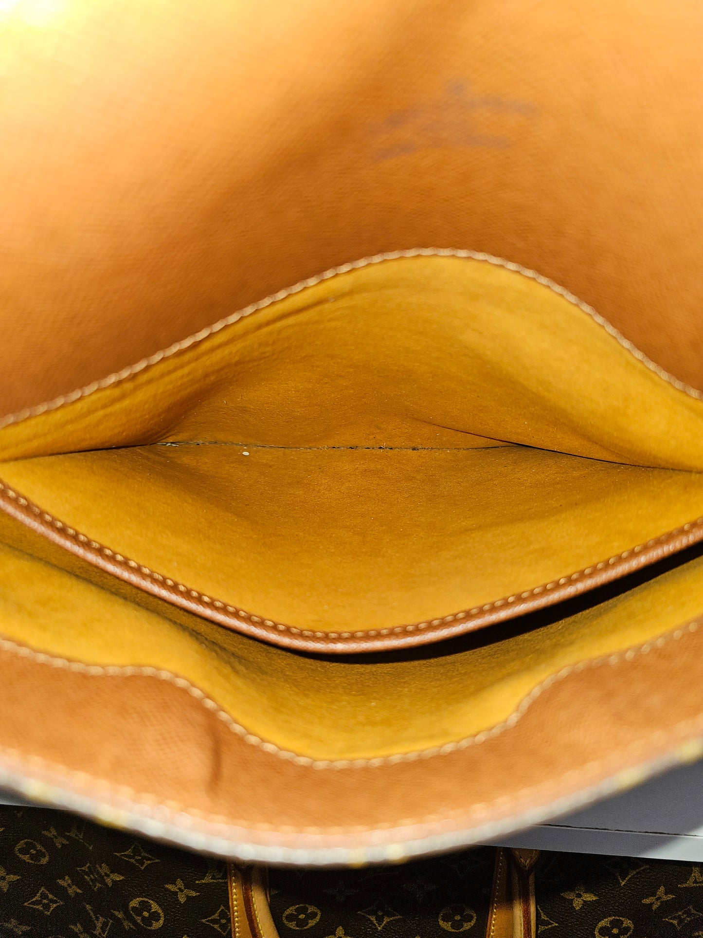 Louis Vuitton Musette Salsa GM Crossbody AS0949