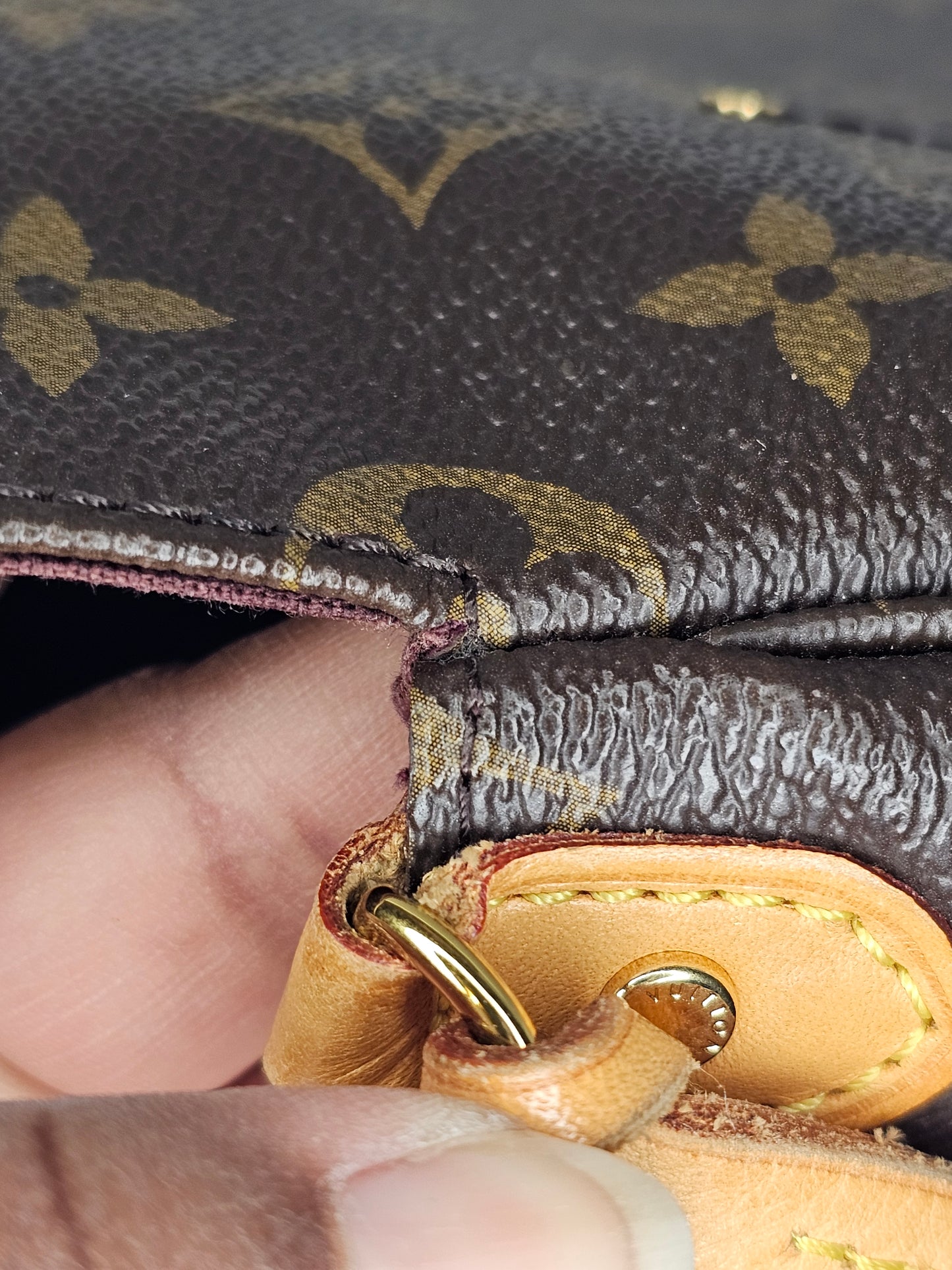 Louis Vuitton Monogram Favorite MM Crossbody SD4186