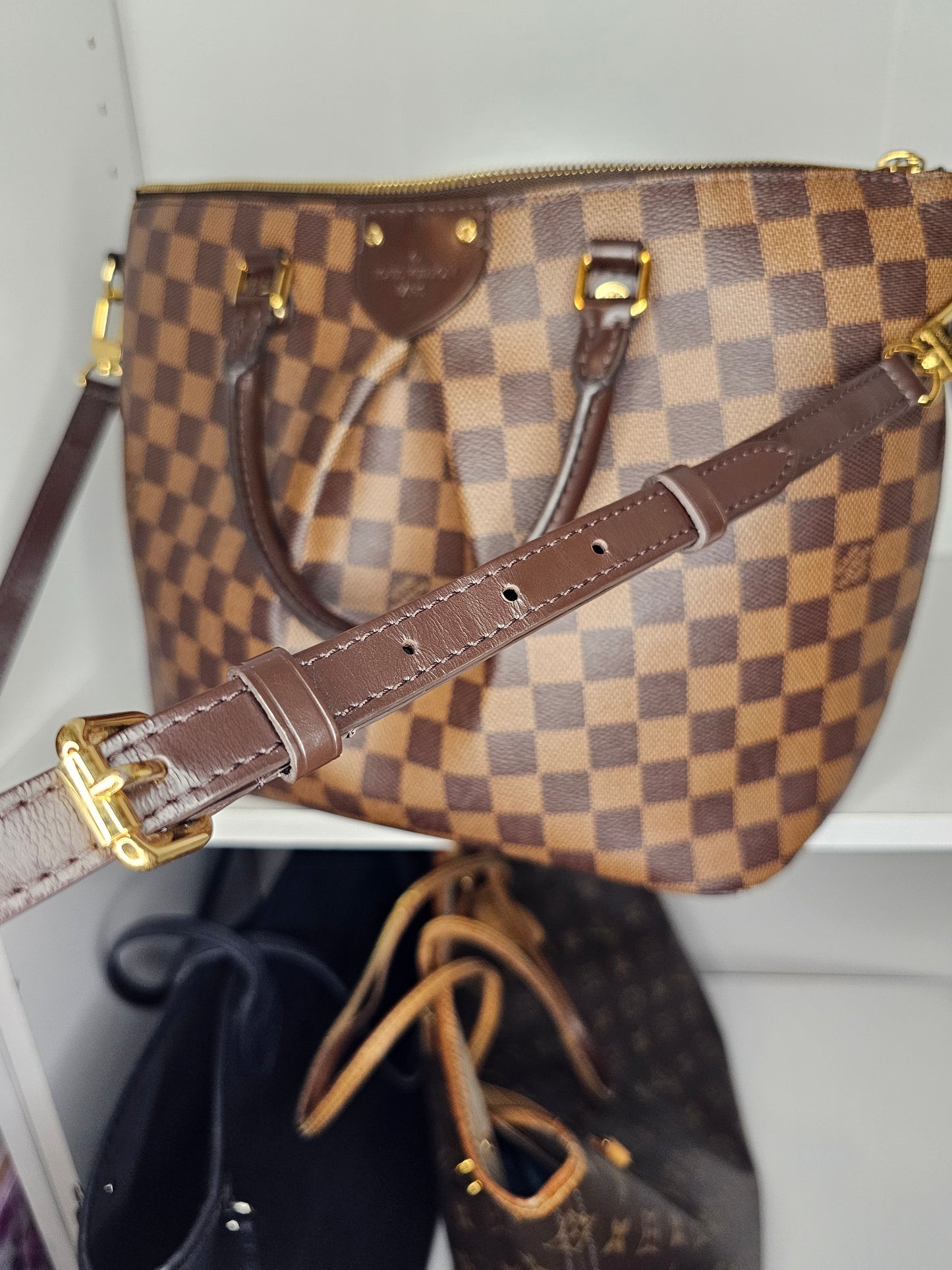 Louis Vuitton Damier Ebene Siena PM RI4146