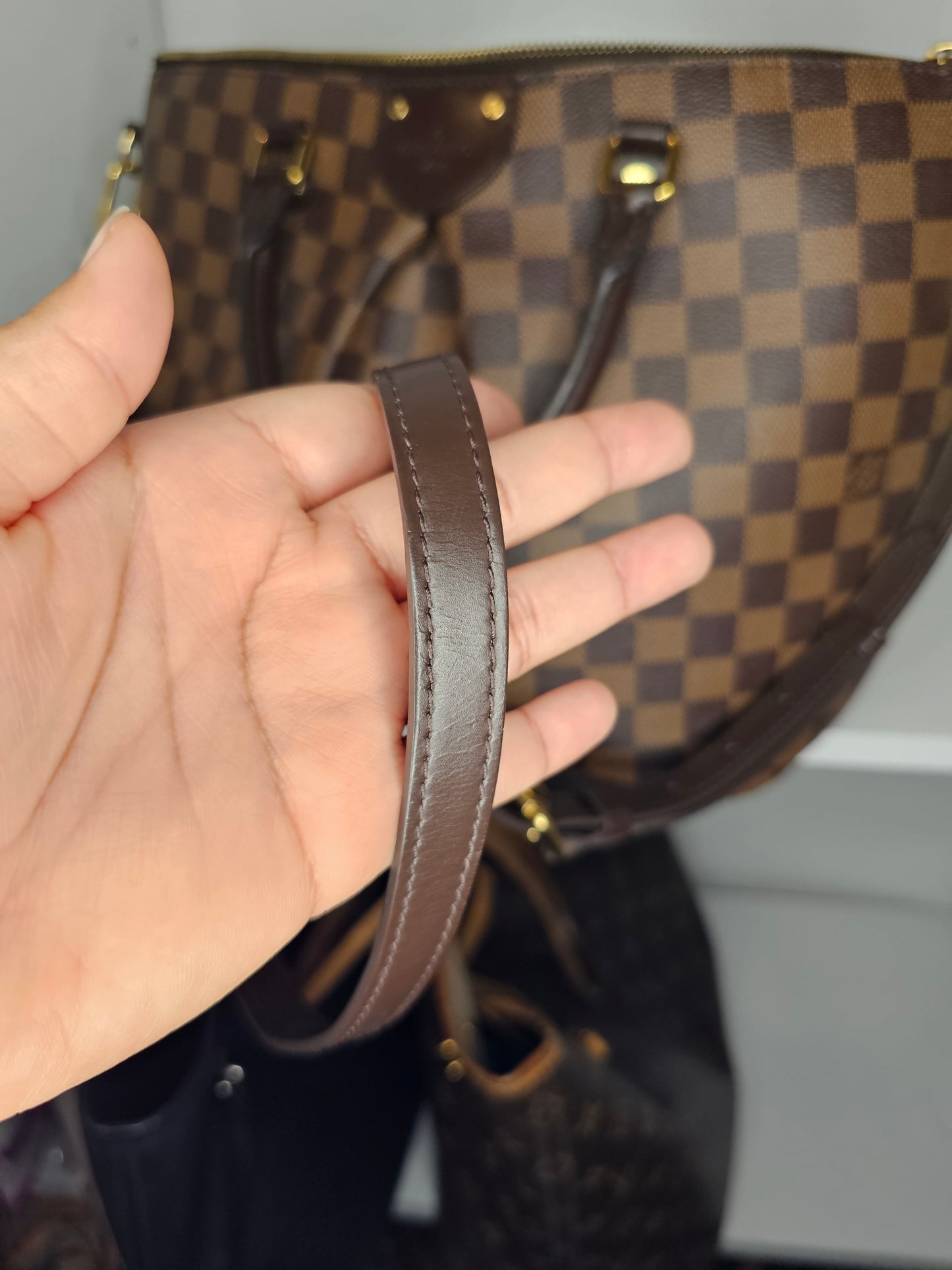 Louis Vuitton Damier Ebene Siena PM RI4146