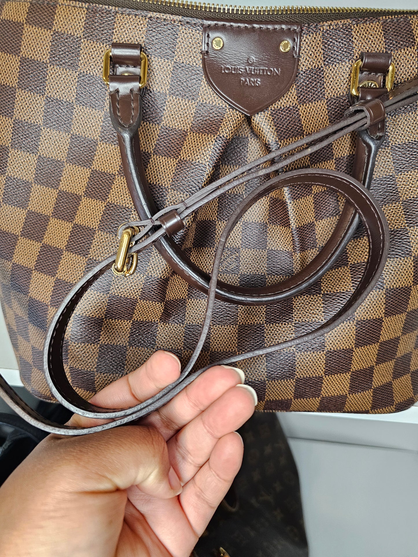 Louis Vuitton Damier Ebene Siena PM RI4146