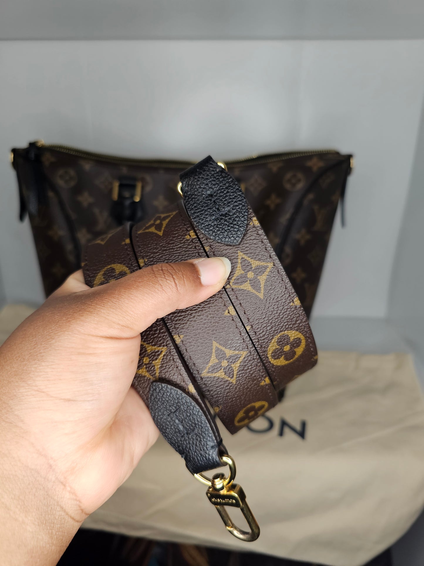 Louis Vuitton Monogram Black Tournelle PM AH4167