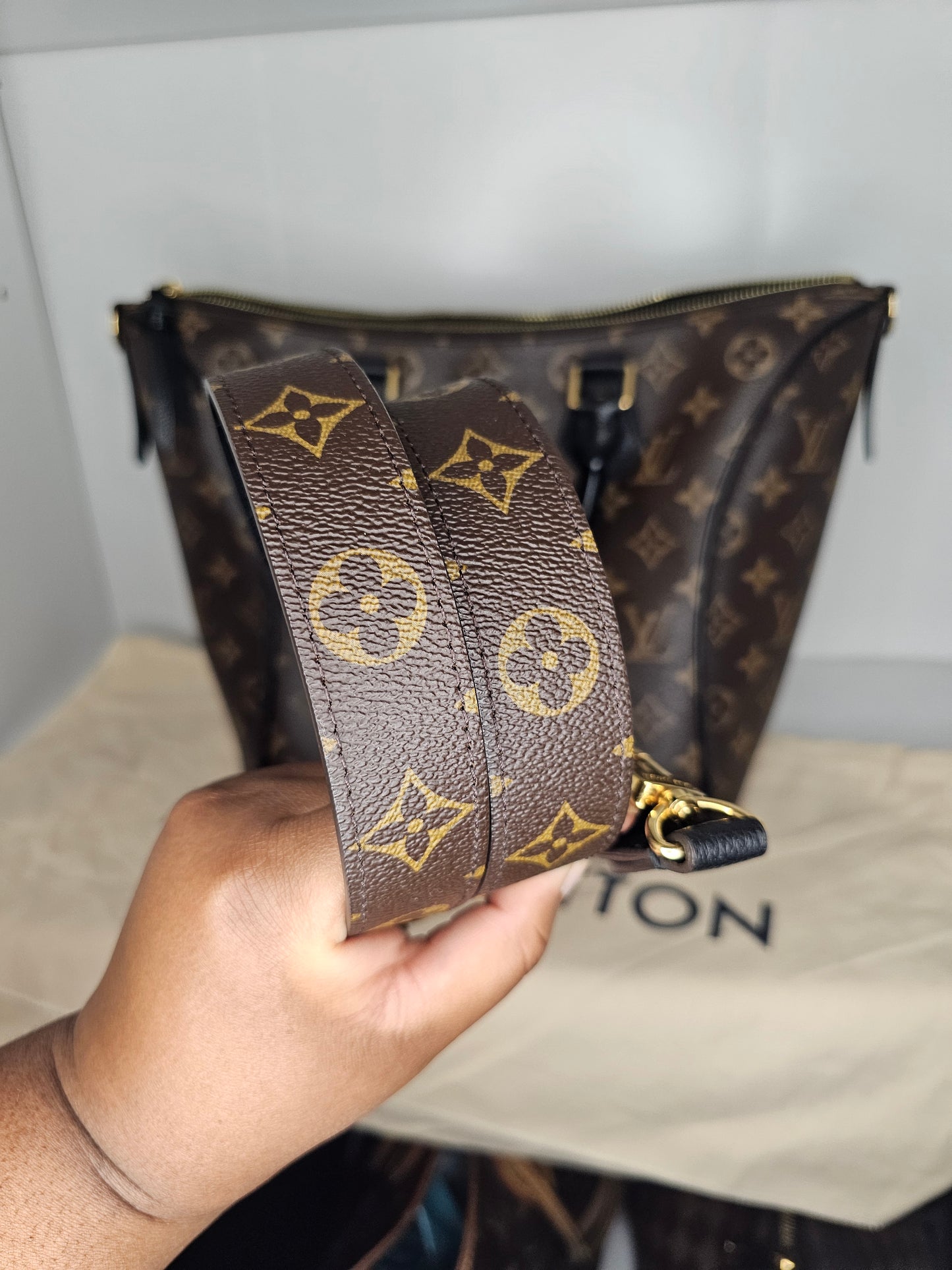 Louis Vuitton Monogram Black Tournelle PM AH4167