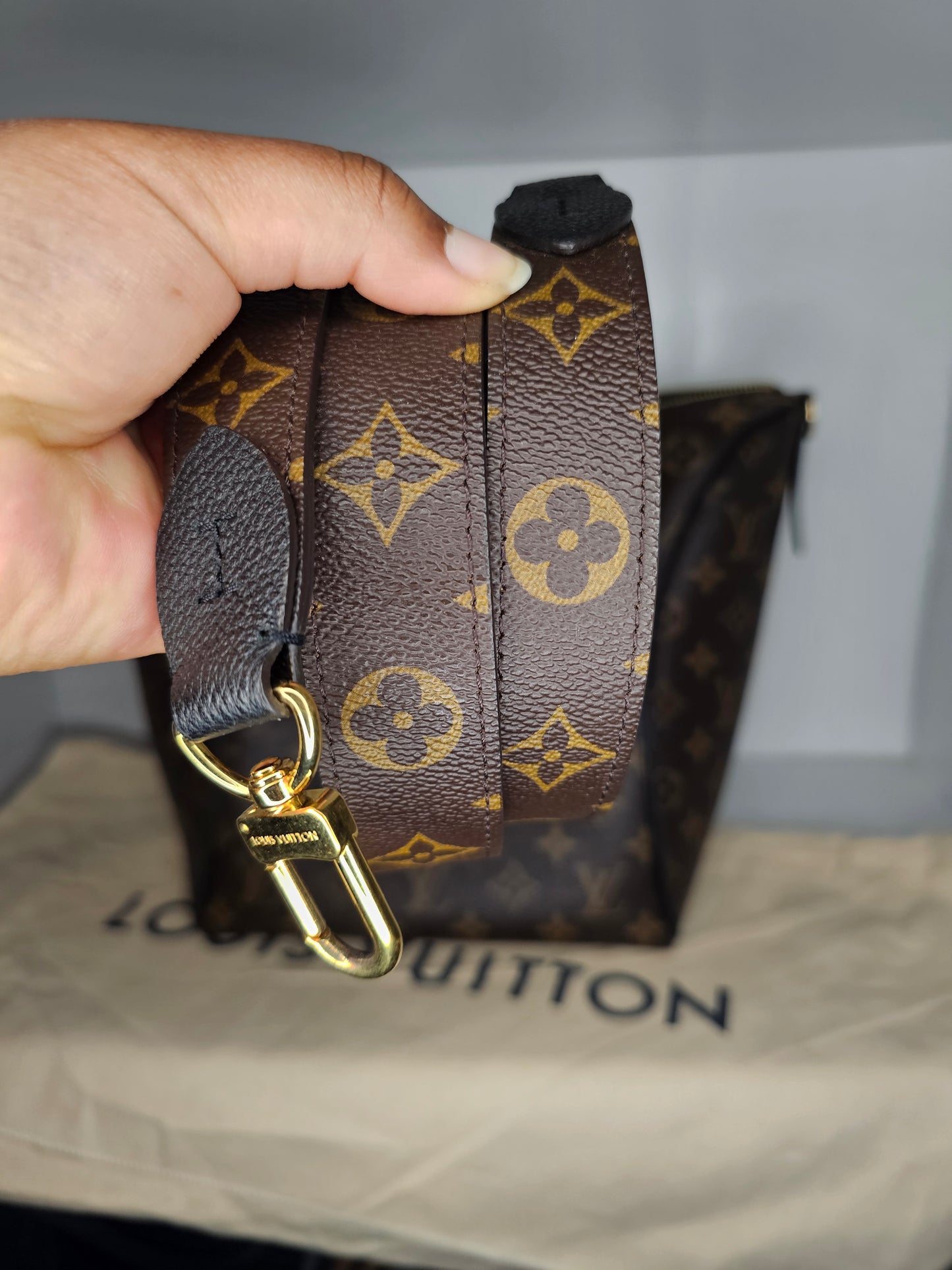 Louis Vuitton Monogram Black Tournelle PM AH4167