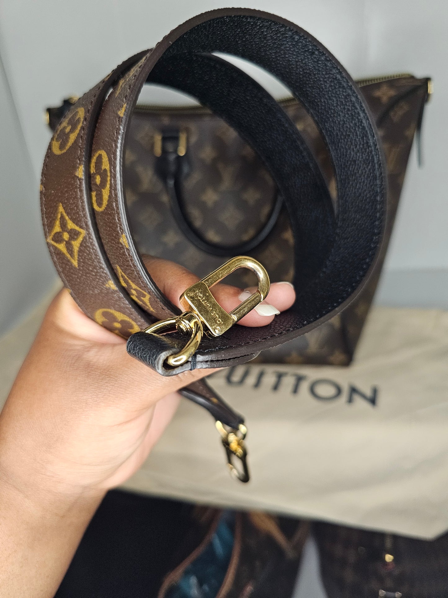 Louis Vuitton Monogram Black Tournelle PM AH4167