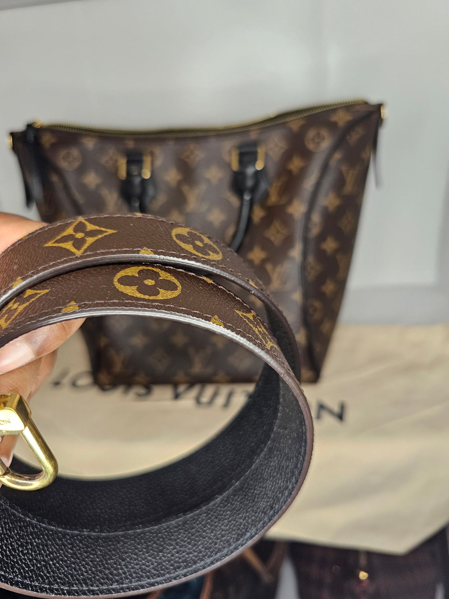 Louis Vuitton Monogram Black Tournelle PM AH4167