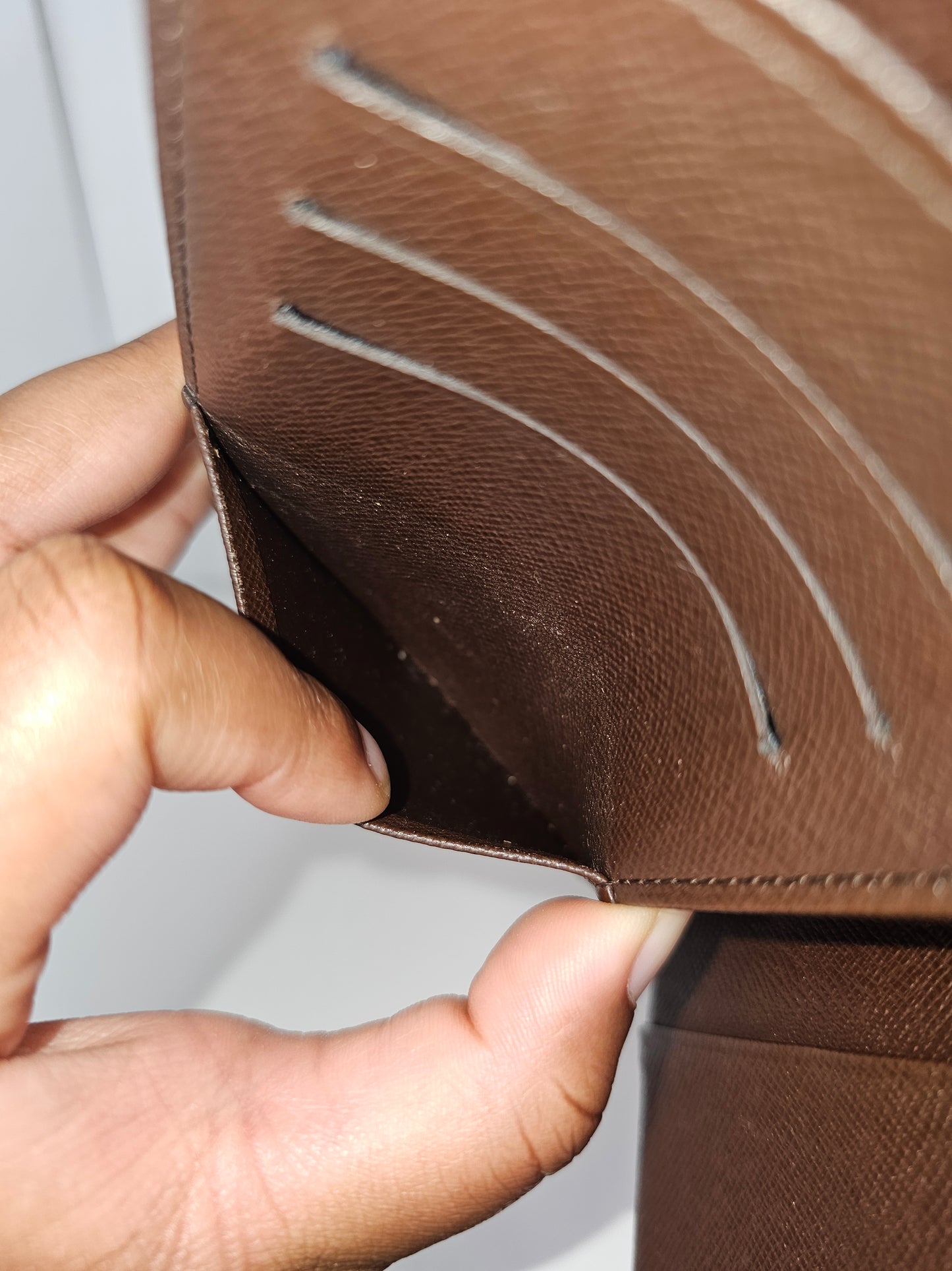 Louis Vuitton Damier Ebene Passport Cover CA0014