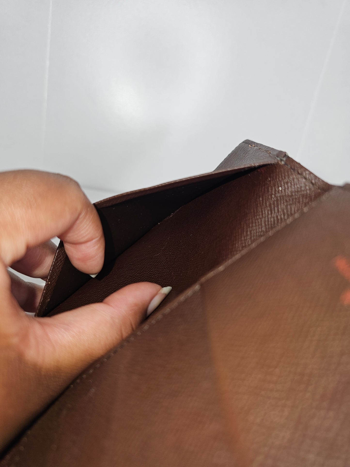 Louis Vuitton Damier Ebene Passport Cover CA0014