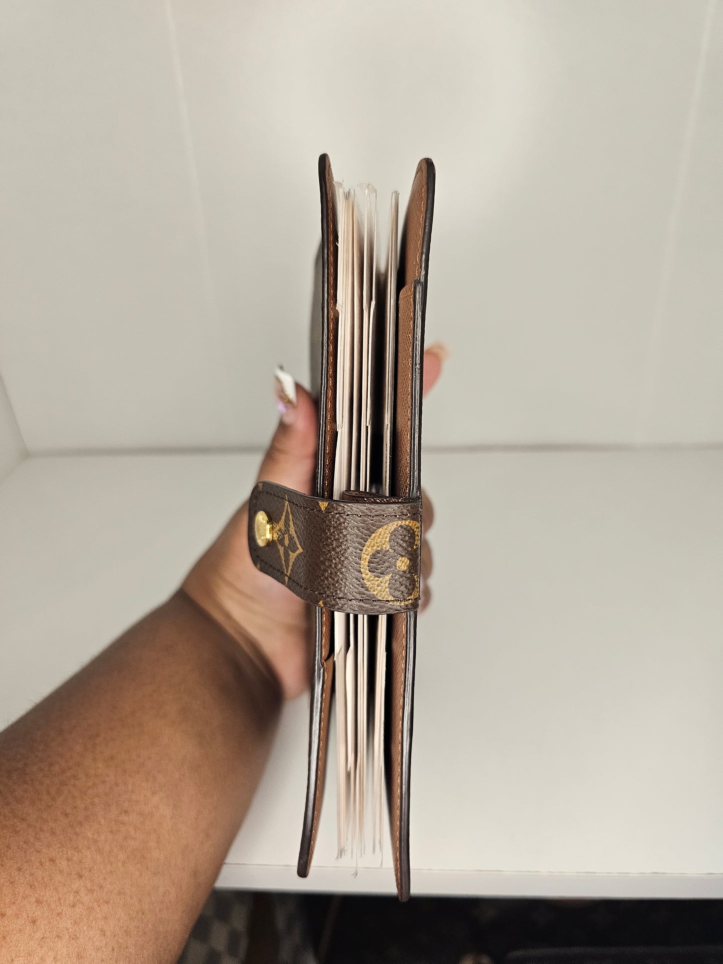 Louis Vuitton Monogram Agenda MM w/ Inserts 💾