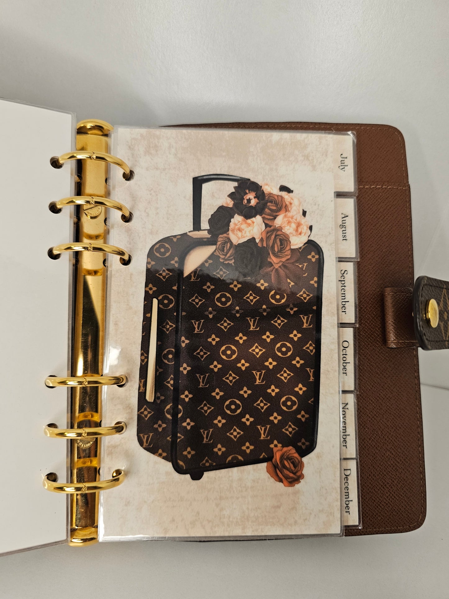 Louis Vuitton Monogram Agenda MM w/ Inserts 💾