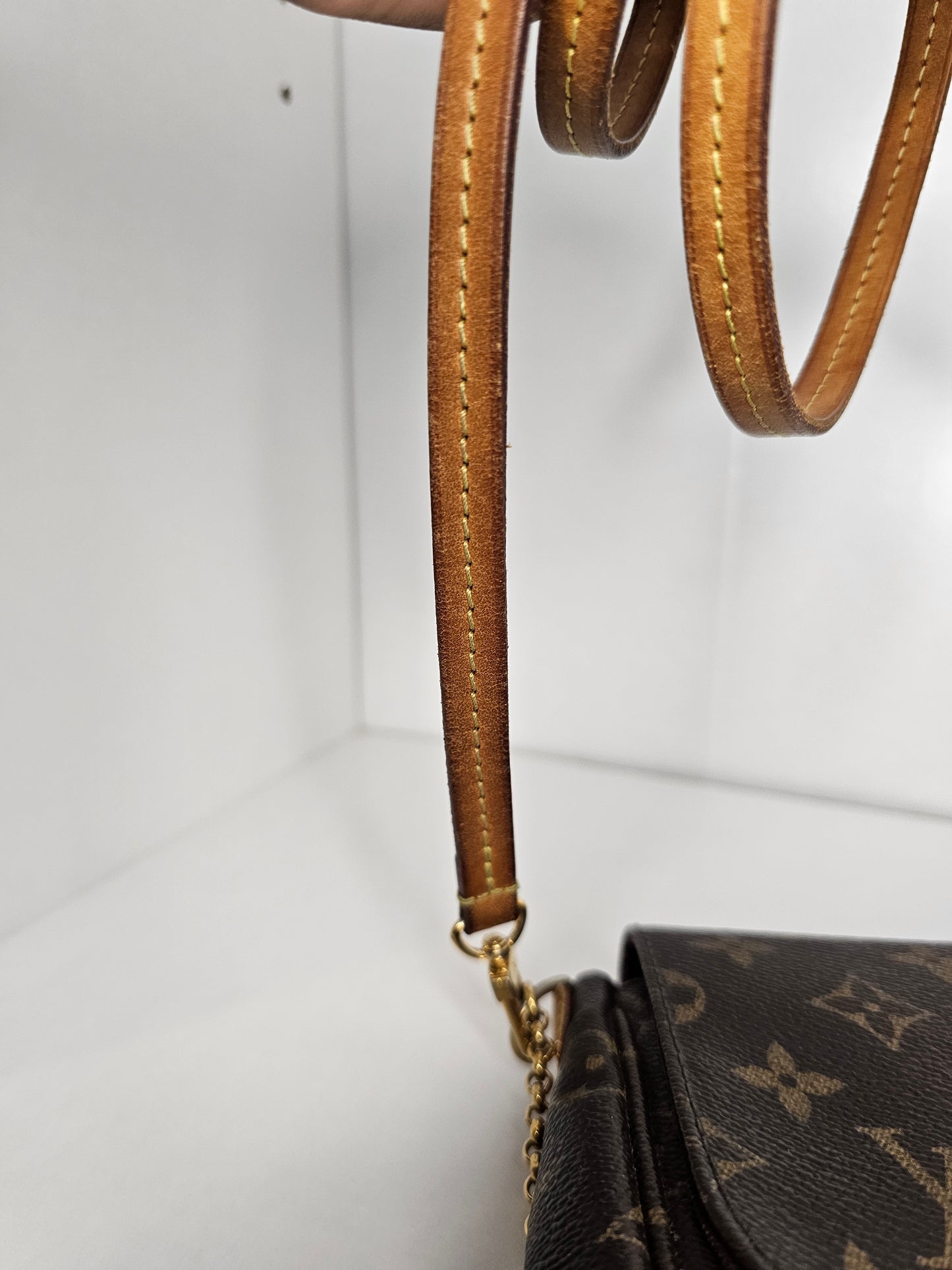 Louis Vuitton Monogram Favorite MM DU3183