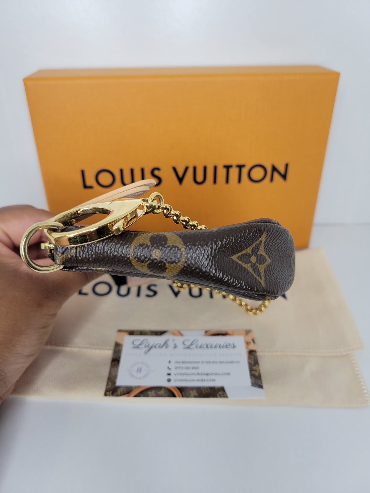 Louis Vuitton Limited Edition L Rue Scribe Mini Pochette