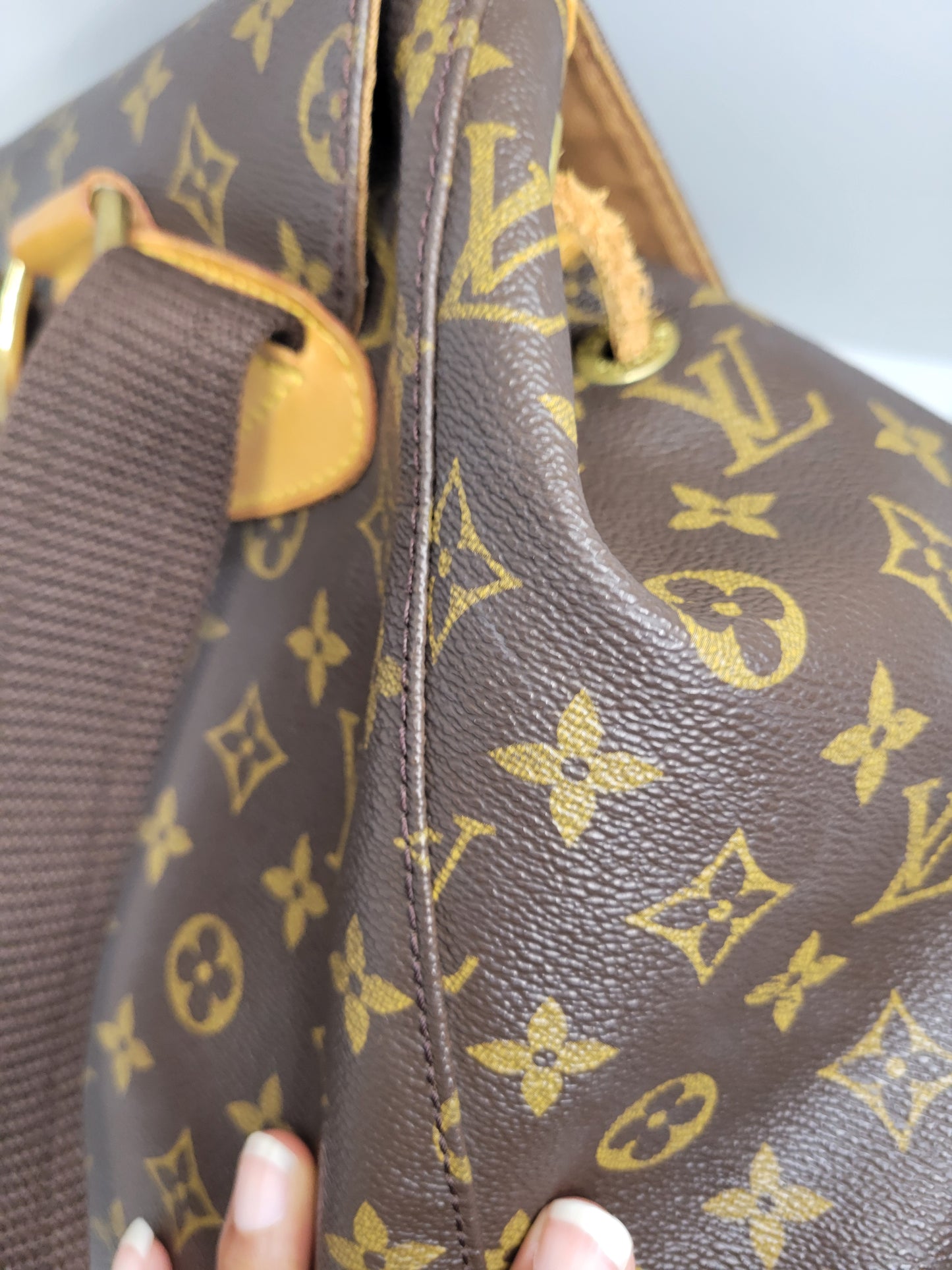 (Reserved) Louis Vuitton Monogram Montsouris Backpack GM