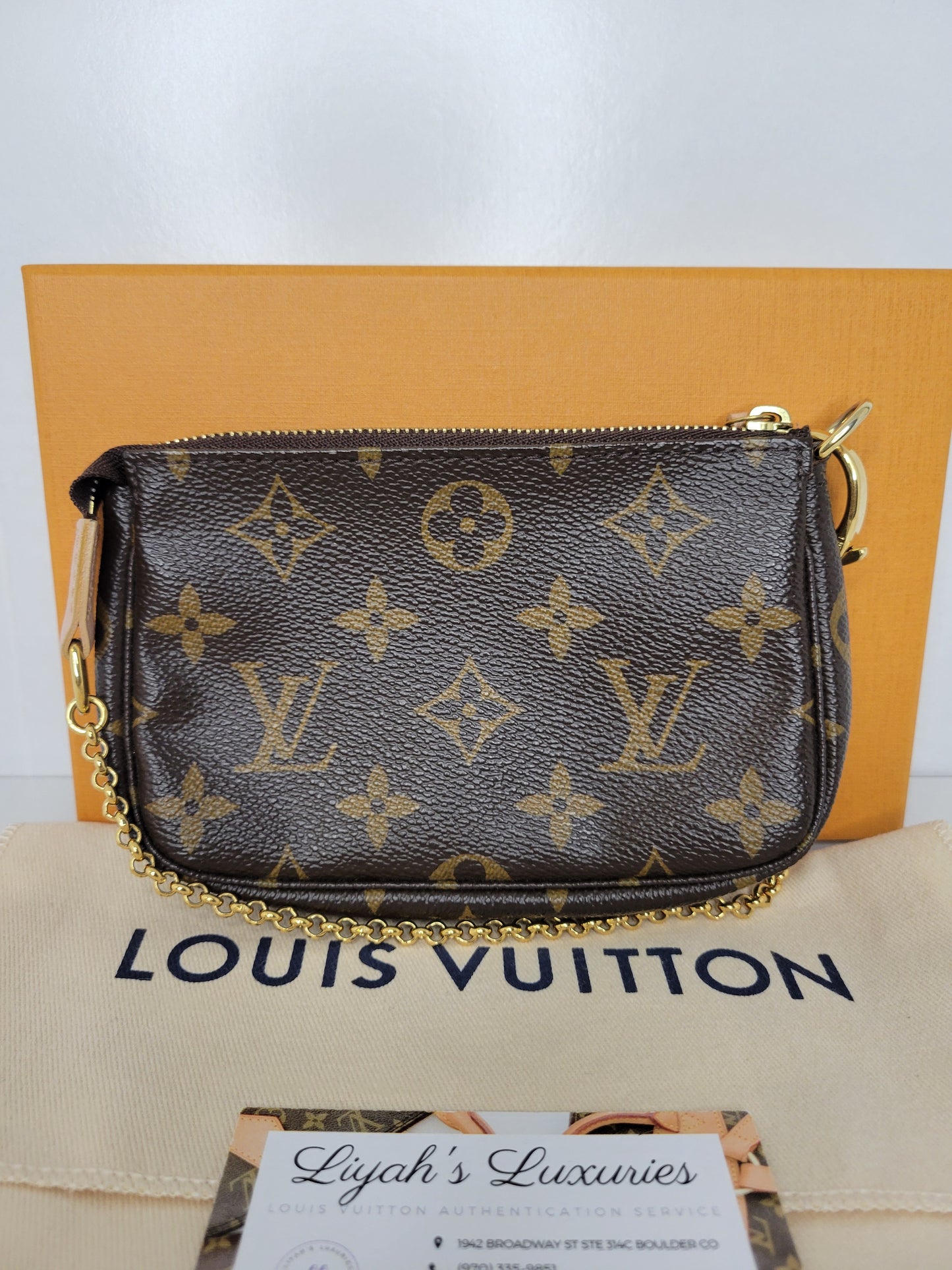 Louis Vuitton Limited Edition L Rue Scribe Mini Pochette