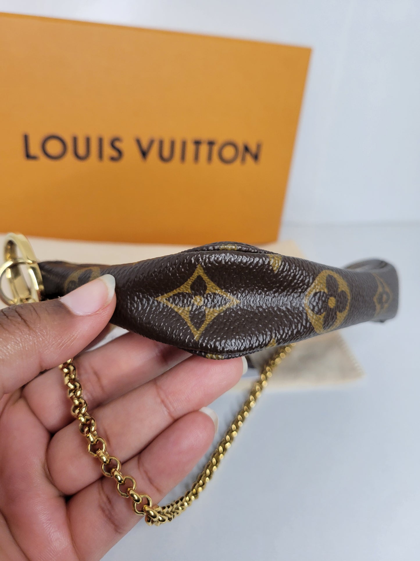 Louis Vuitton Limited Edition L Rue Scribe Mini Pochette