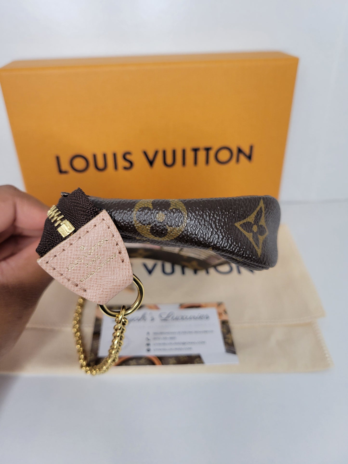 Louis Vuitton Limited Edition L Rue Scribe Mini Pochette